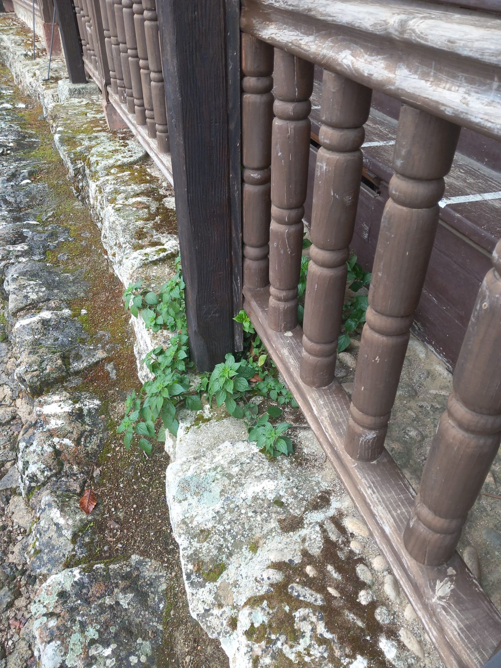 Plaza de Toros La Ancianita de Béjar  (15).jpeg