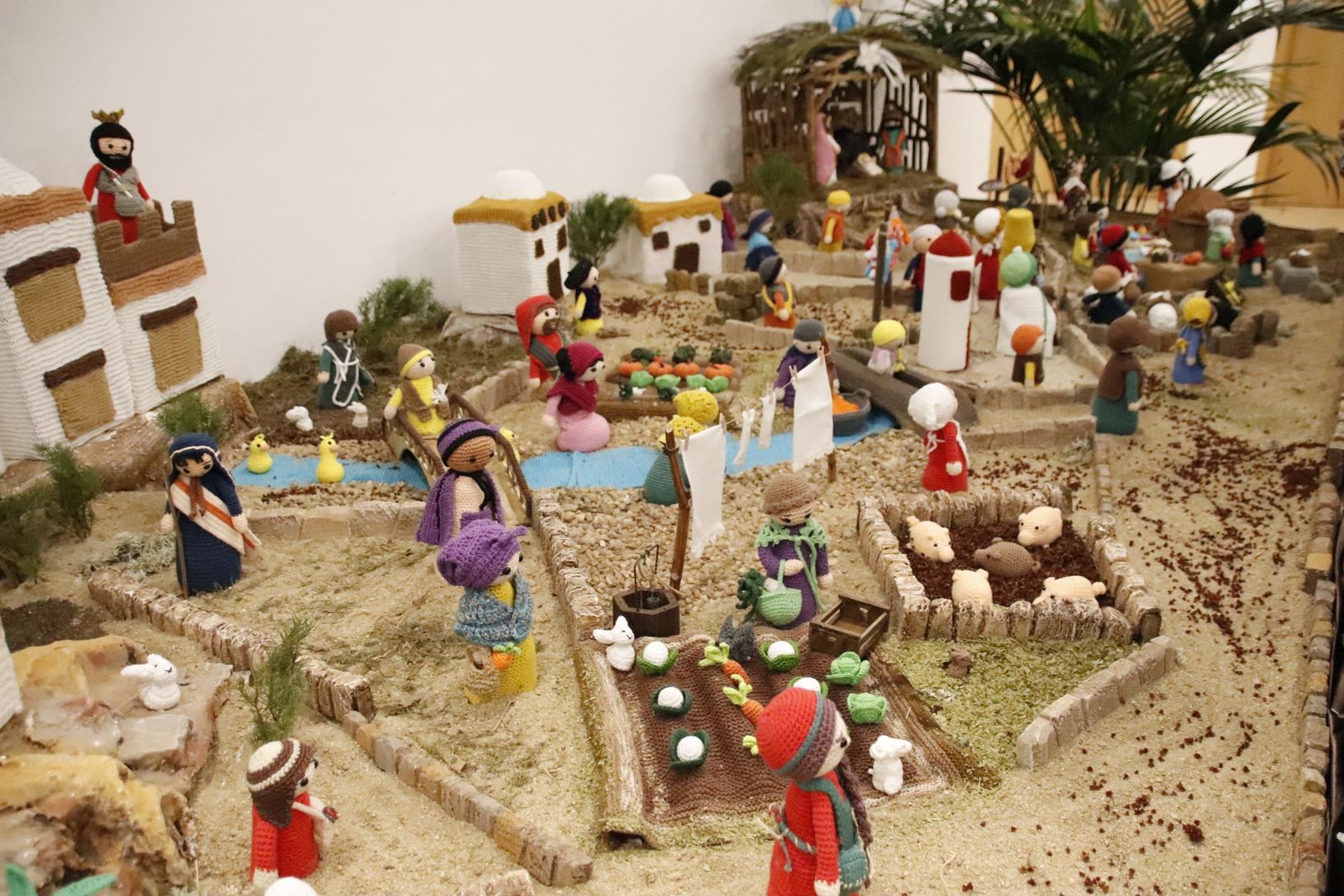 20221202202923-mg-5055