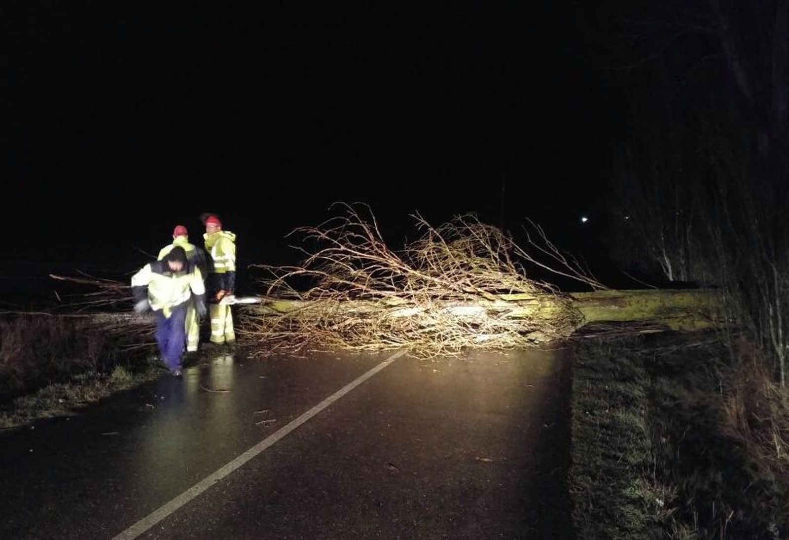 Varios árboles caídos condicionan el tráfico en las carreteras provinciales