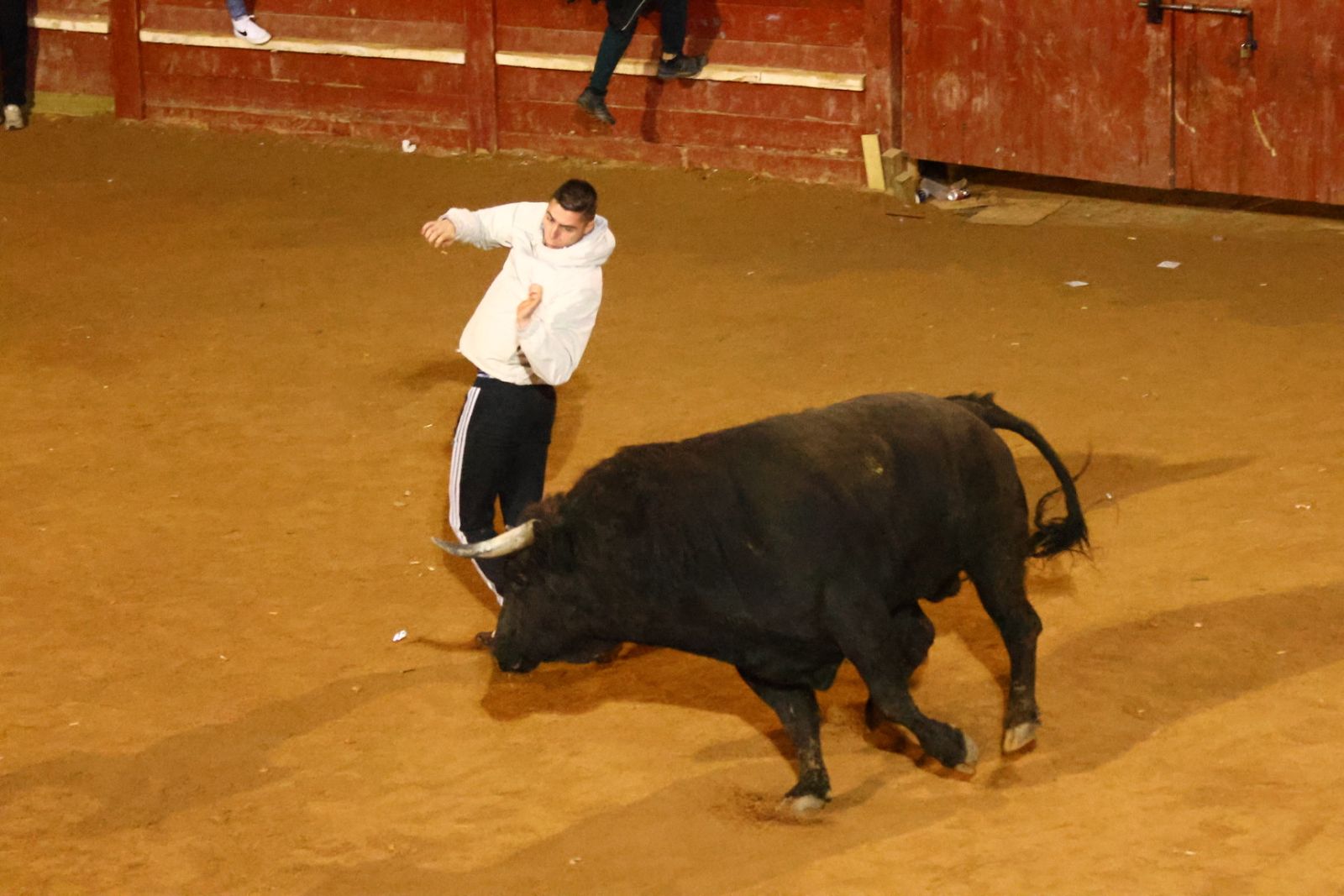 Capea nocturna de lunes en el Carnaval del Toro 2026