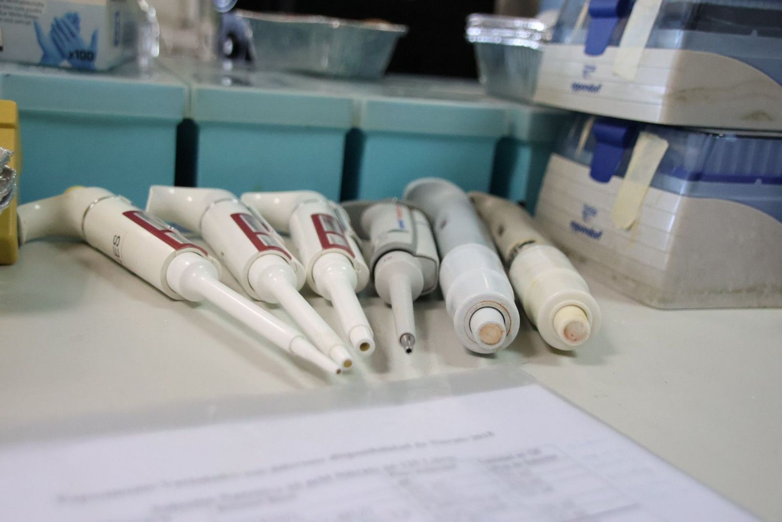 20240308104851-img-9434