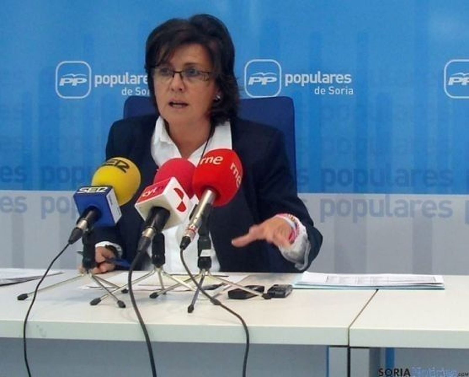 Los PGE de 2014 permitirán abrir el tramo Almazán-Sauquillo a finales de 2013 y el Medinaceli-Radona en 2014