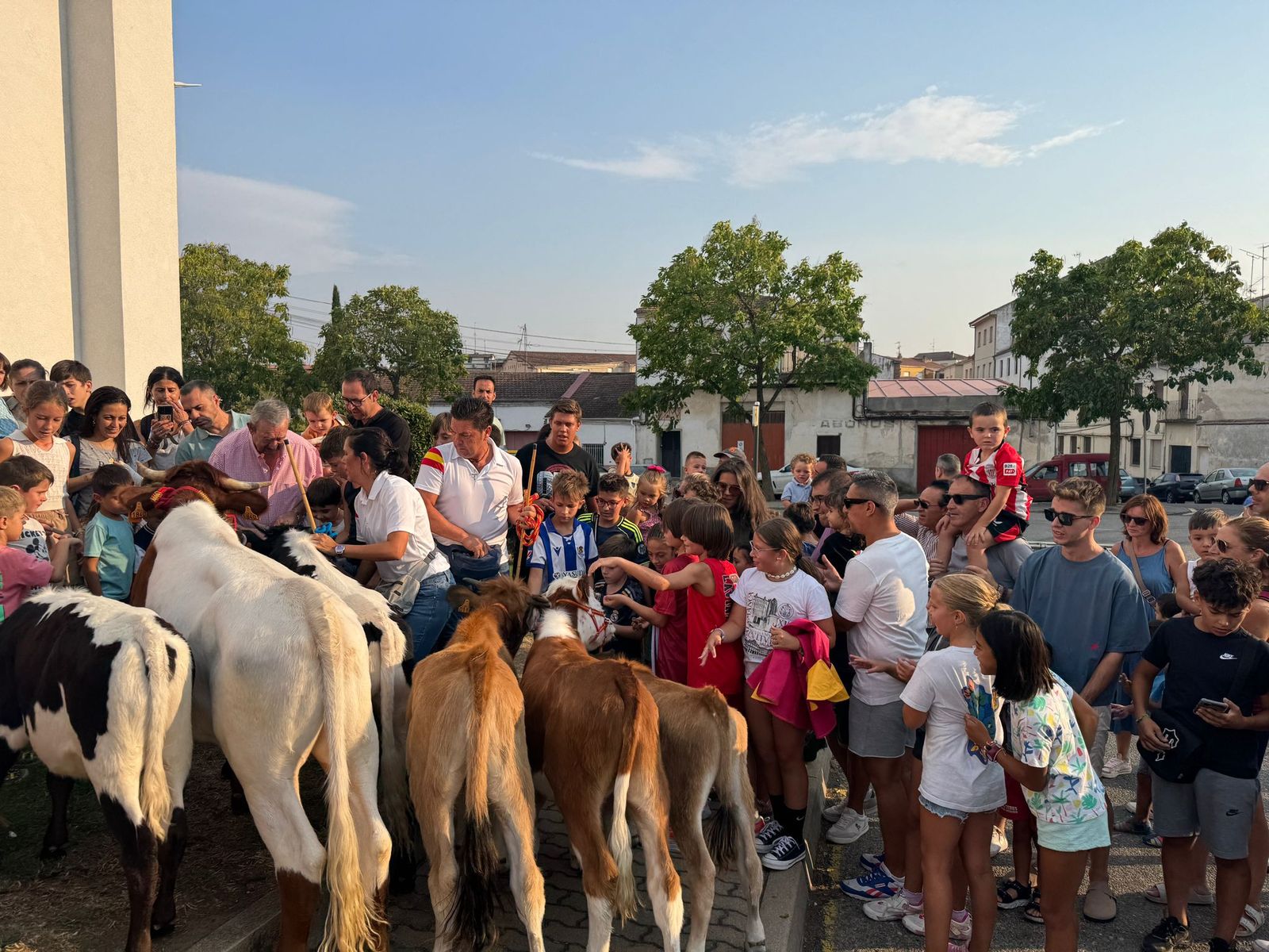 Encierro infantil de Mini Bueyes en Guijuelo durante sus fiestas 2025