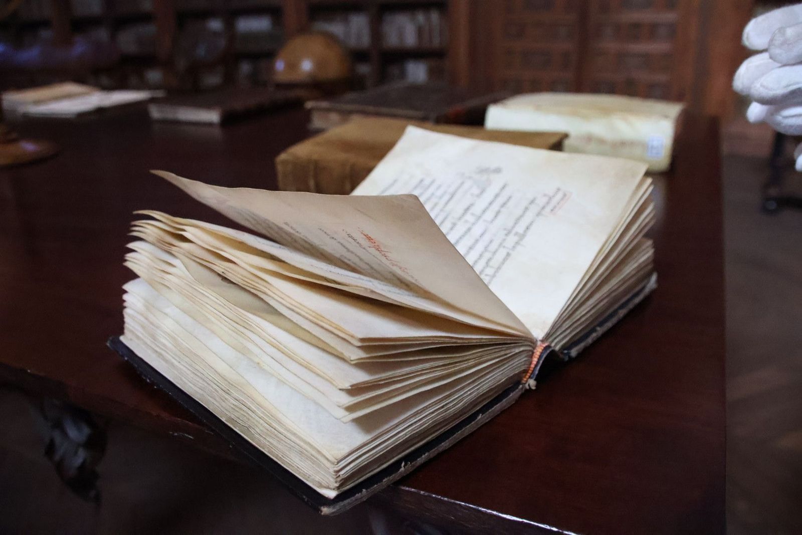 20231005110103-img-1305