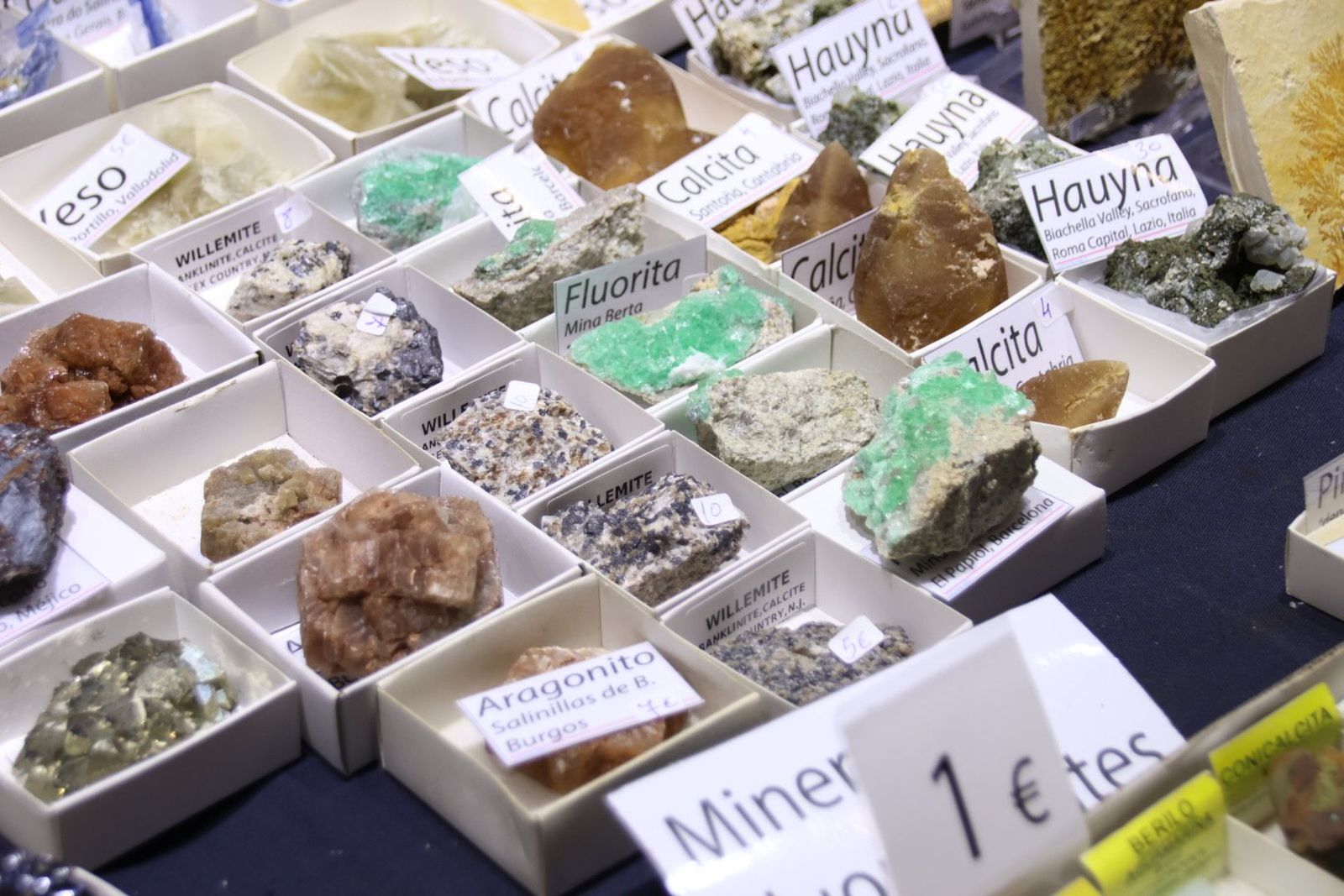 20240517104838-img-0436