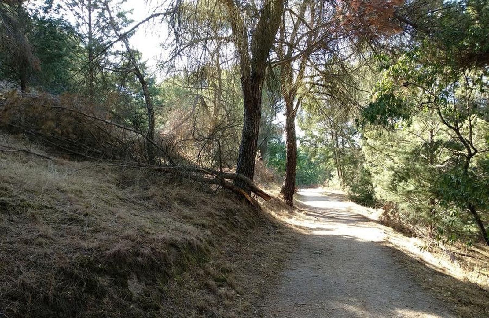 Limpieza Valorio 2 (Copy)