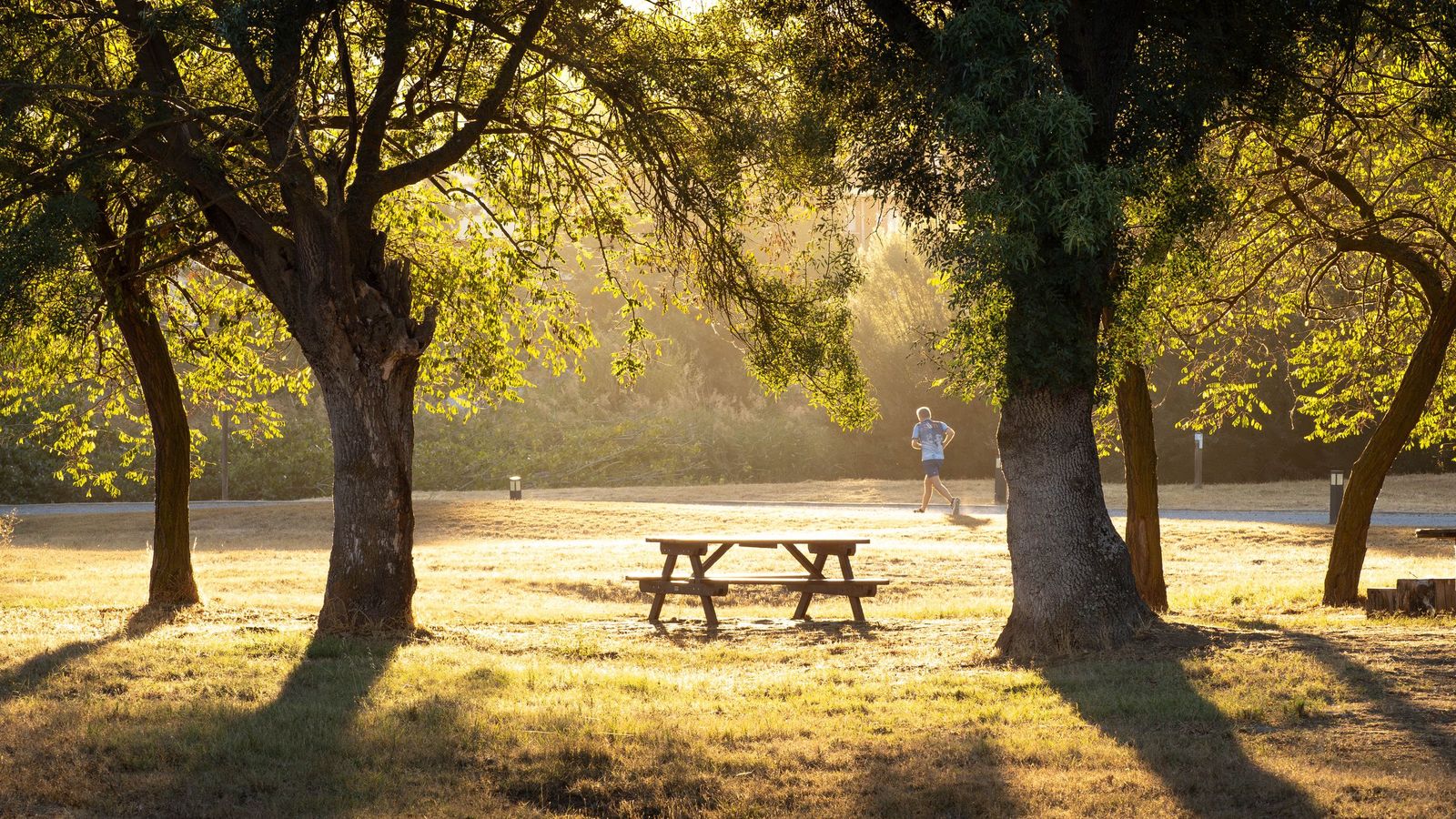 Luz y pulso. Primer Premio