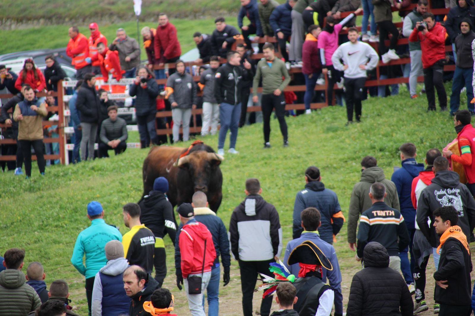 whatsapp-image-2025-03-01-at-11-56-31-1