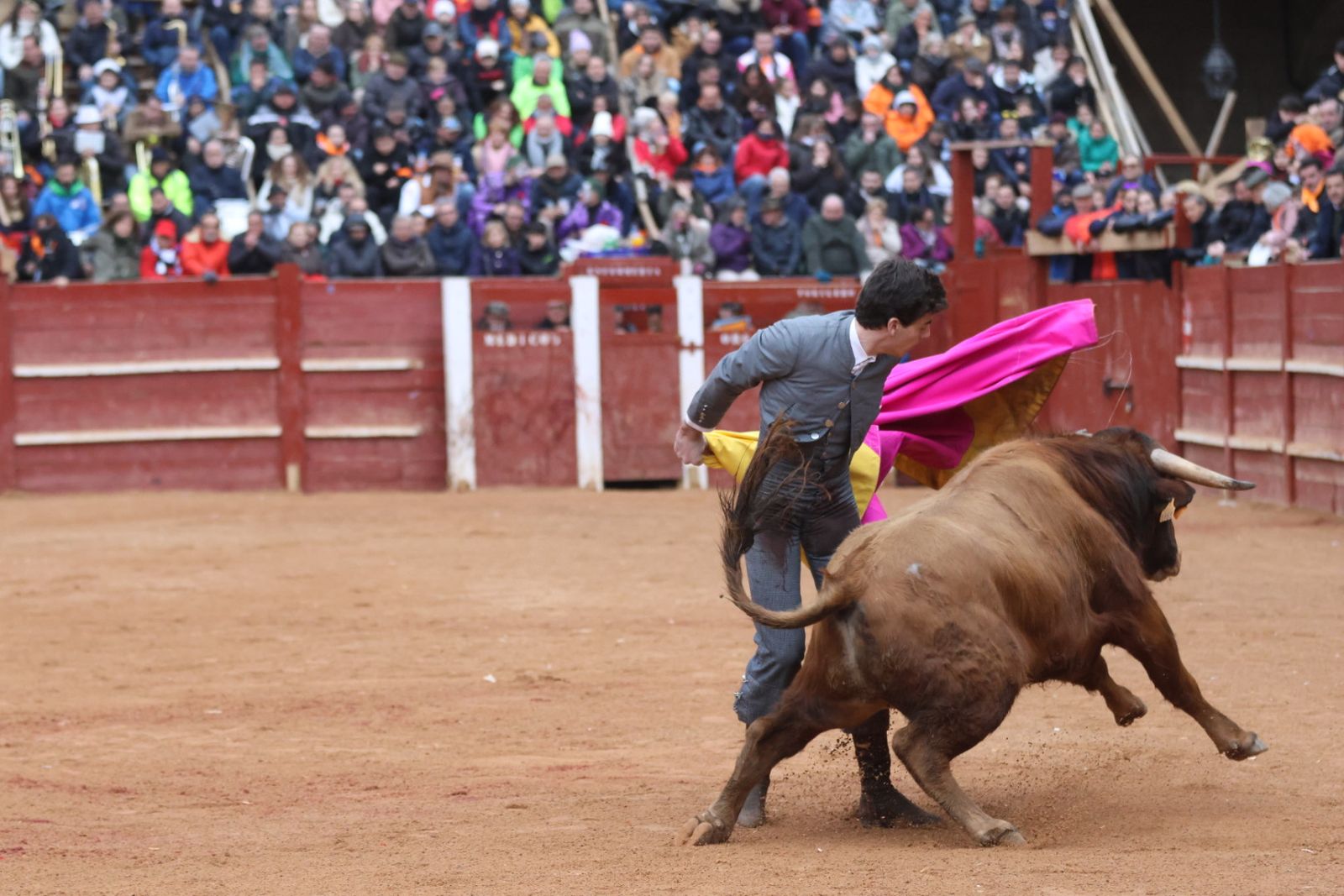 Novillada sin picadores del bolsín taurino y rejones en Ciudad Rodrigo