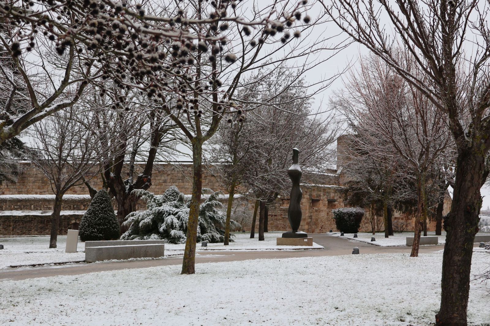 GALERÍA | Nieve en Zamora capital este miércoles
