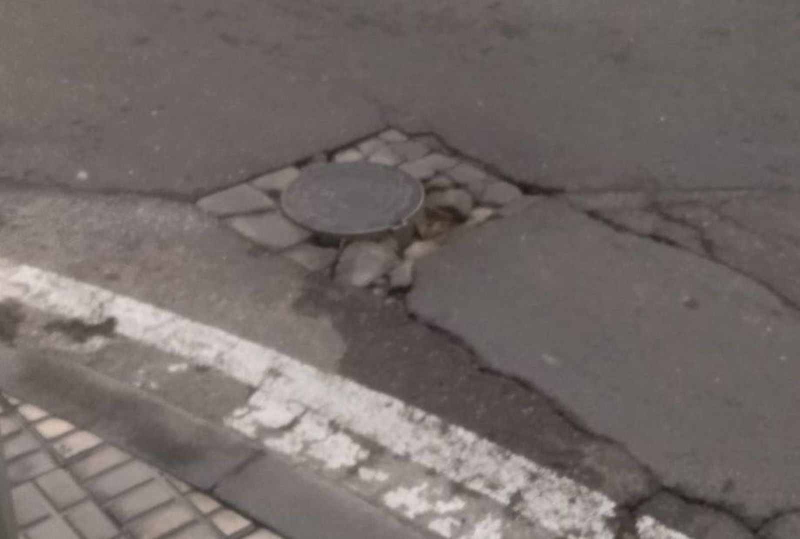 Pavimento deteriorado en las calles del barrio Garrido