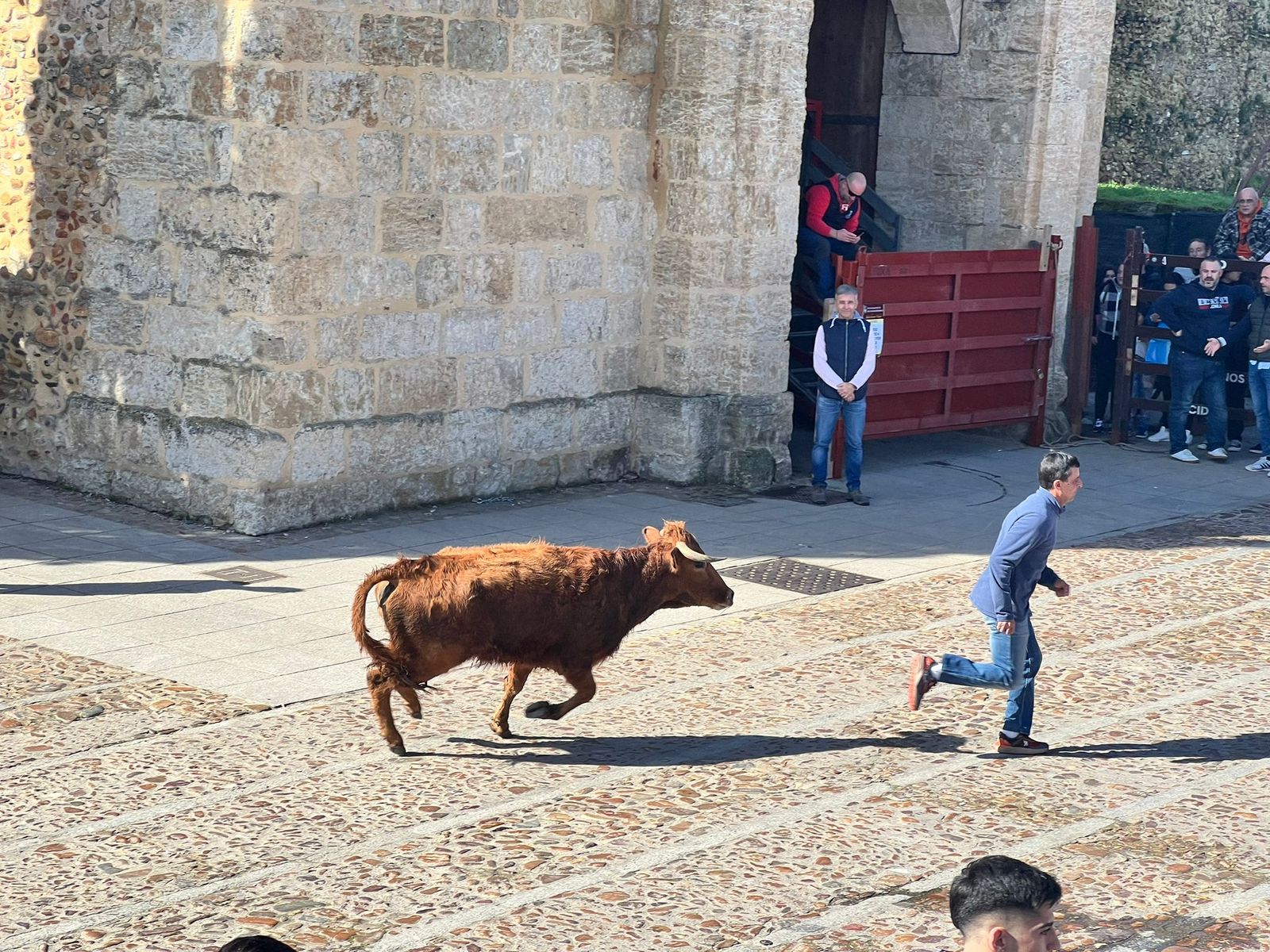 Domingo de piñata en Ciudad Rodrigo