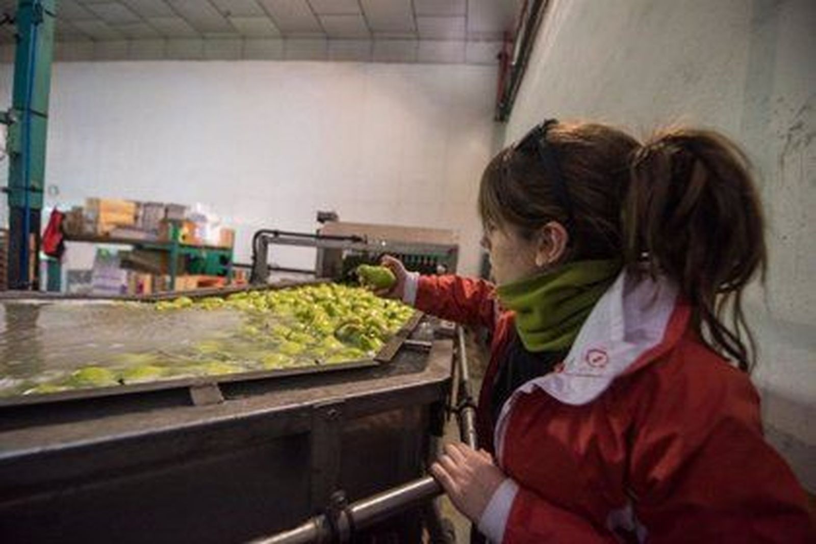 Trabajadora de una industria alimentaria. EP