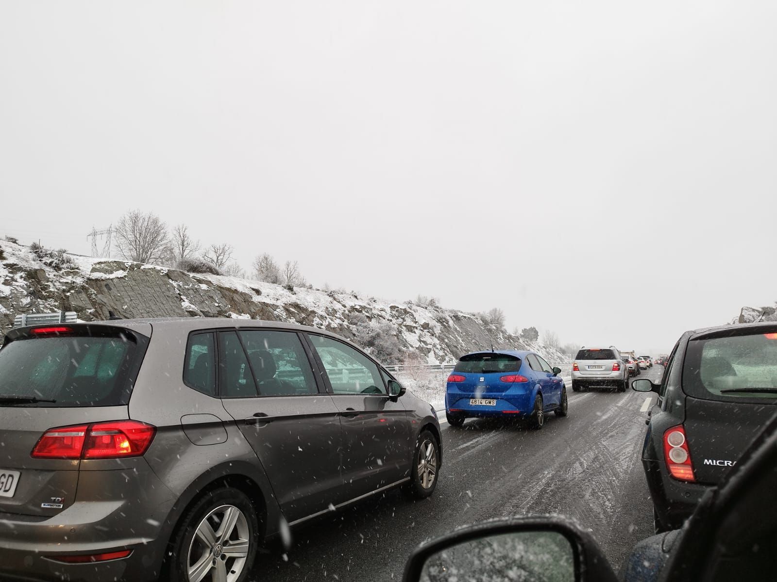 whatsapp-image-2024-01-19-at-16-38-55