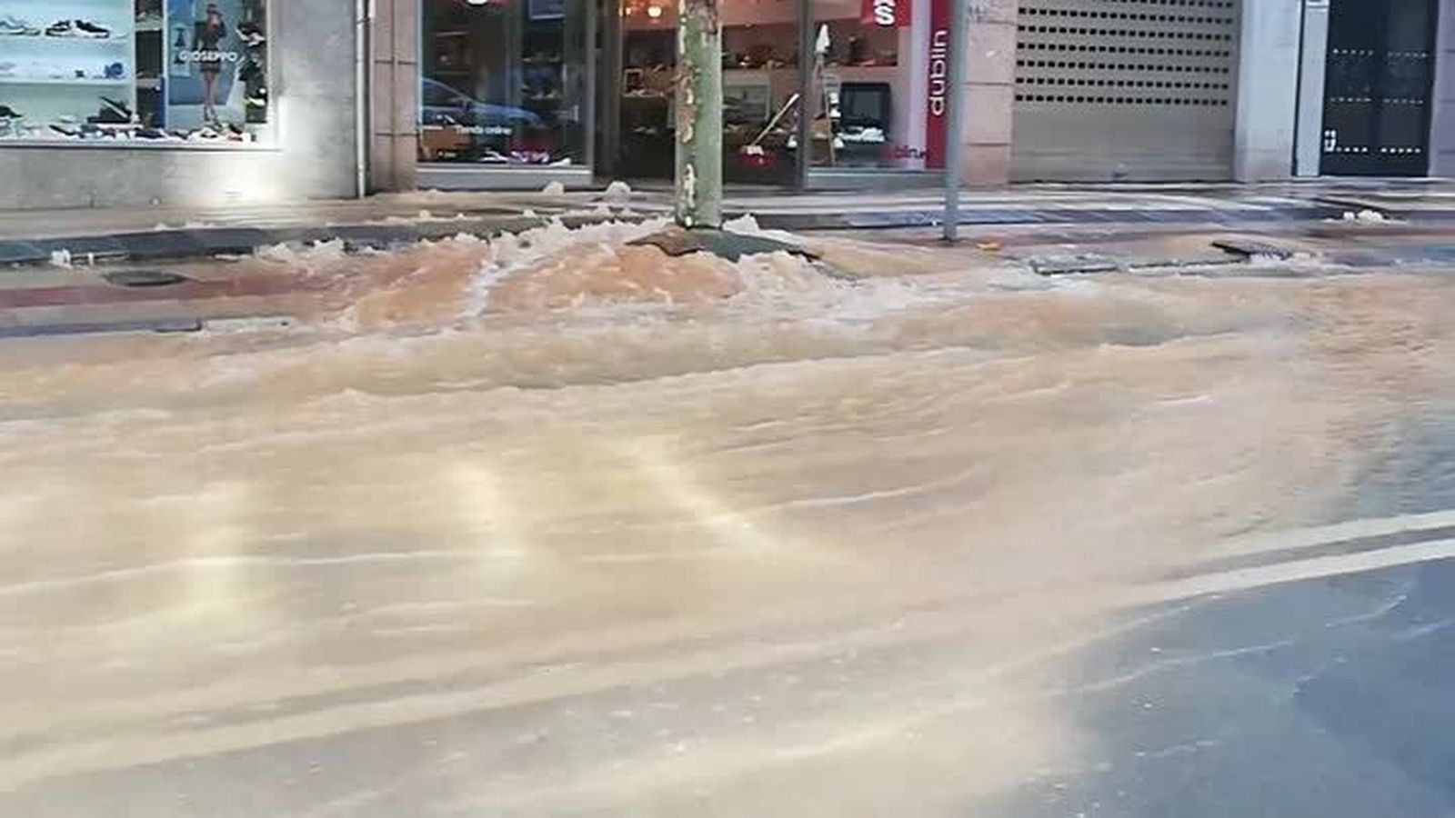 ReventndetuberaenMaraAuxiliadora