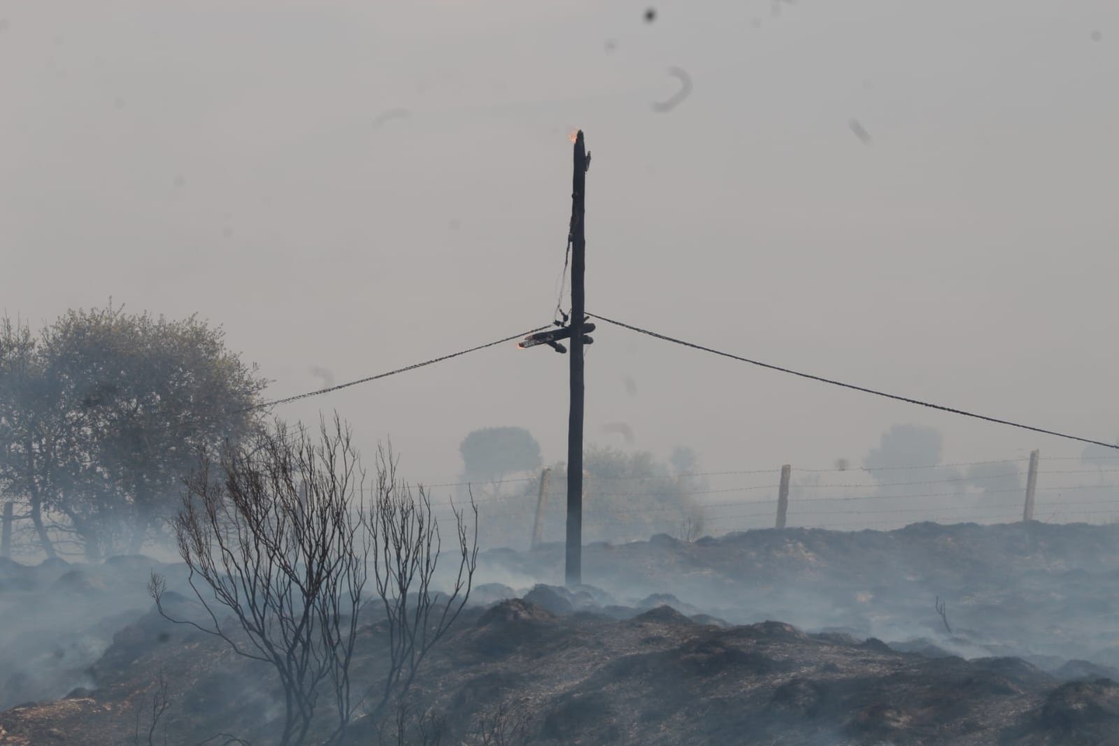 whatsapp-image-2024-09-02-at-14-28-42