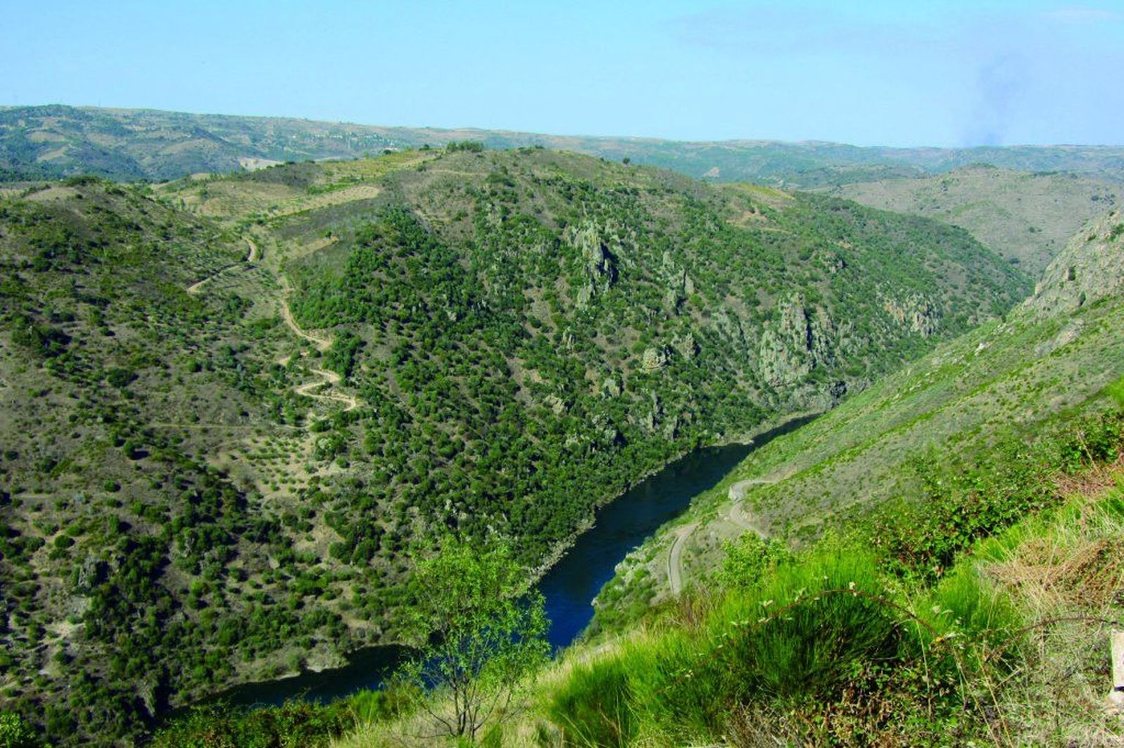 (II) De ruta por la Senda del Duero occidental: El arroyo de los Cabrones, un viaje al ambiente Cantábrico entre Villarino y Pereña