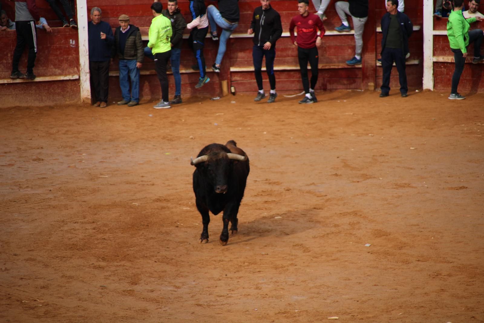 capea-matutina-del-martes-de-carnaval-27