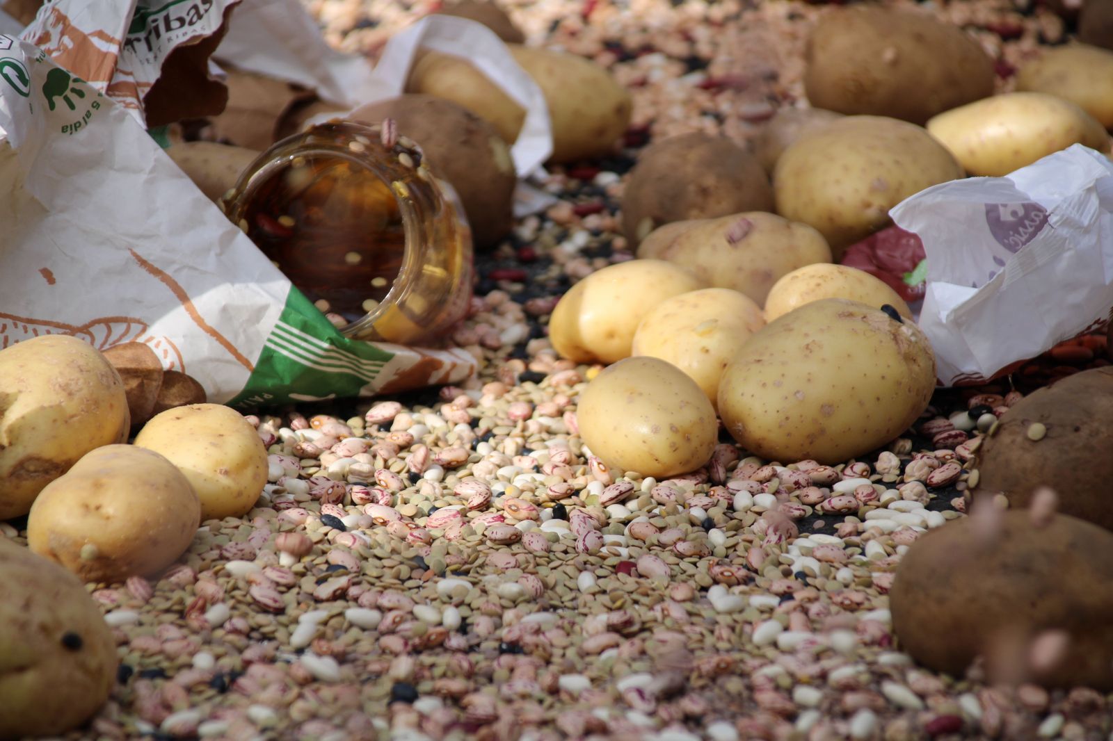 concentracion-profesionales-del-campo-en-el-carrefour-27