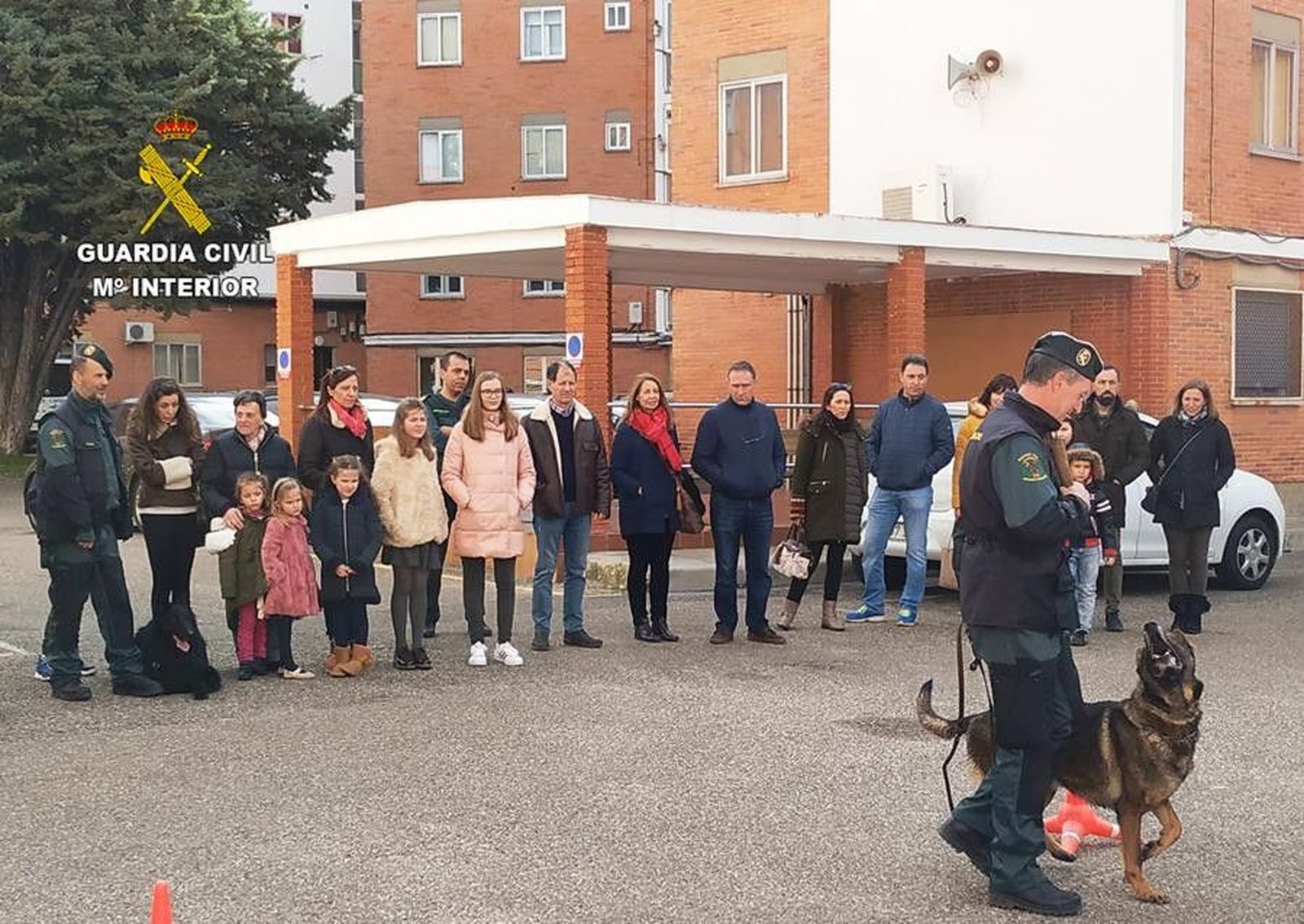 Grupo Cinolu00f3gico (Copy)