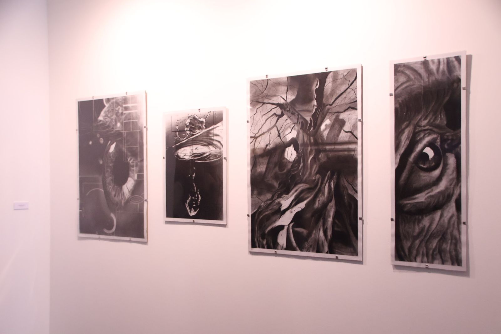 Exposición de los trabajos de los premios San Marcos 2026 de la Universidad de Salamanca