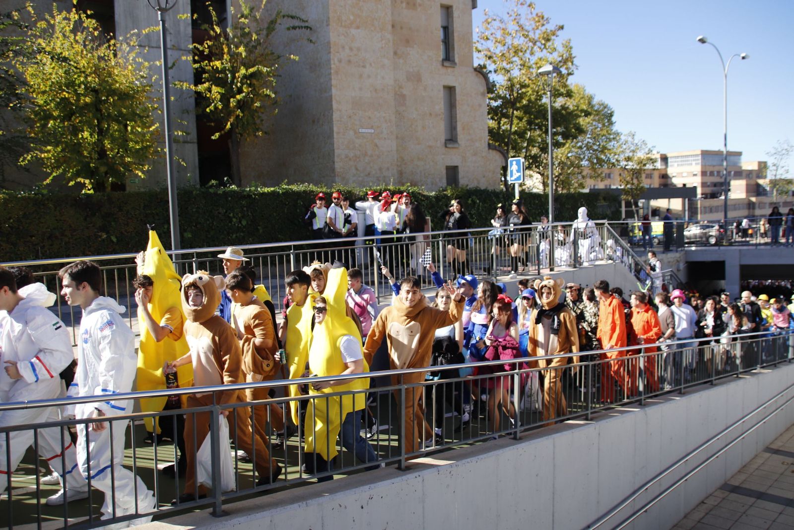 20221110121756-mg-1036