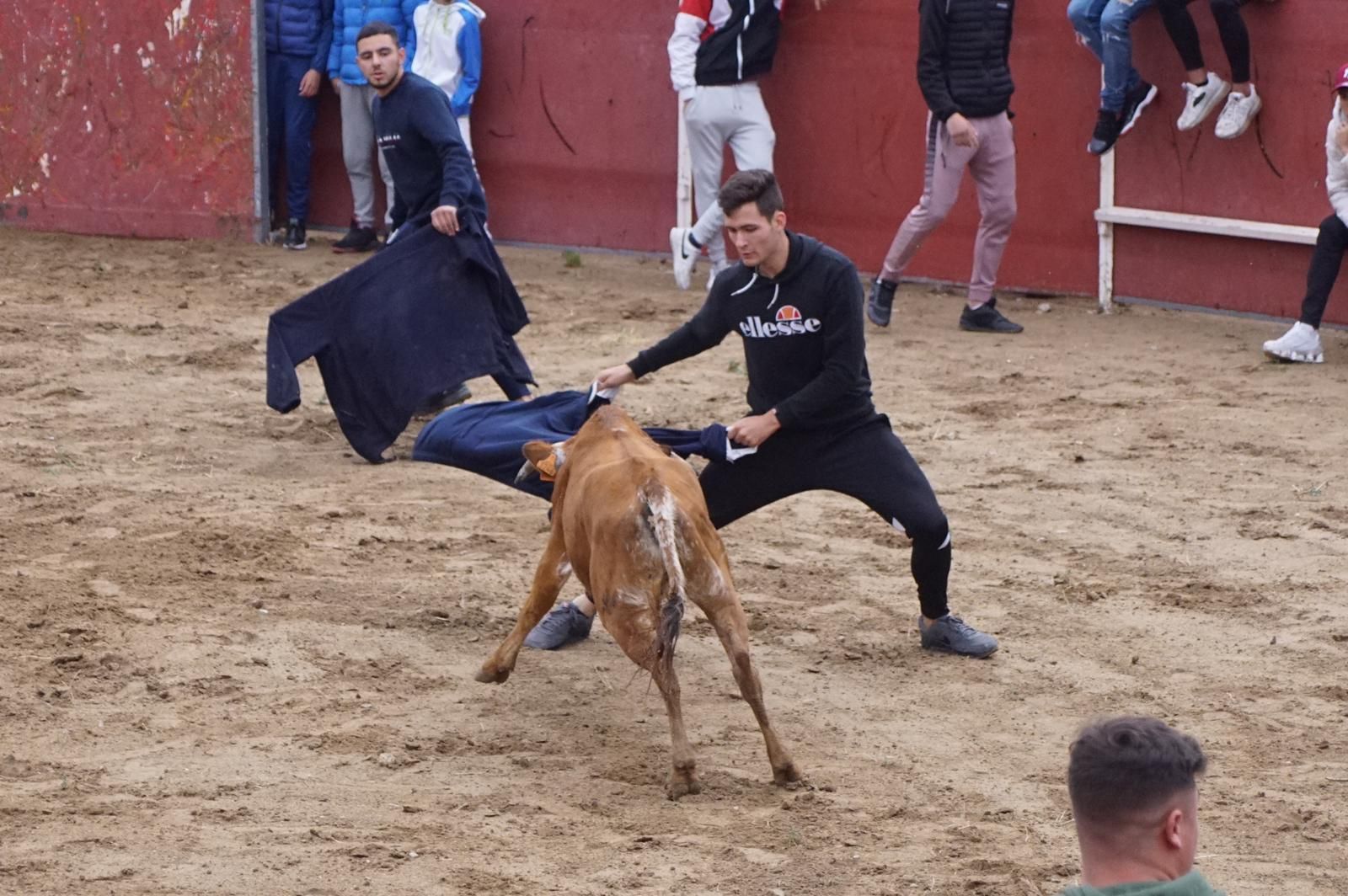 whatsapp-image-2023-05-22-at-20-19-26-1