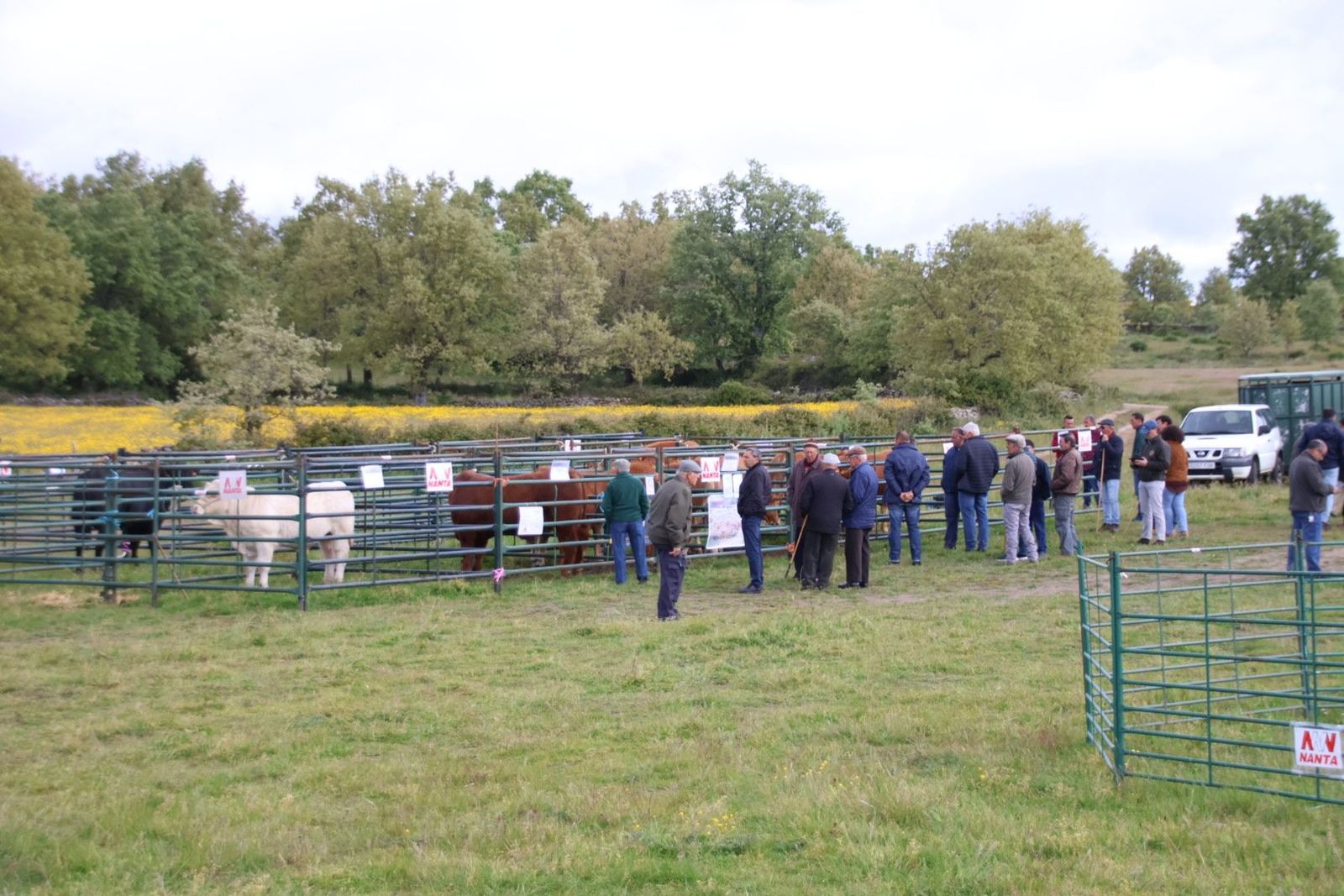 20240501103213-img-2908