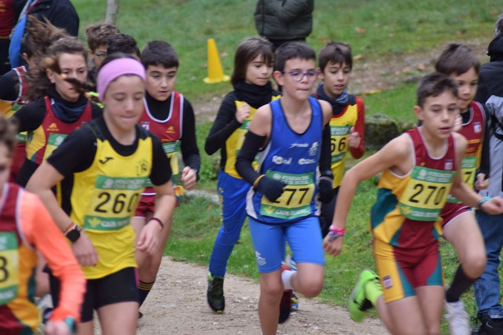 cross-de-otono-en-el-bosque-de-valorio-38