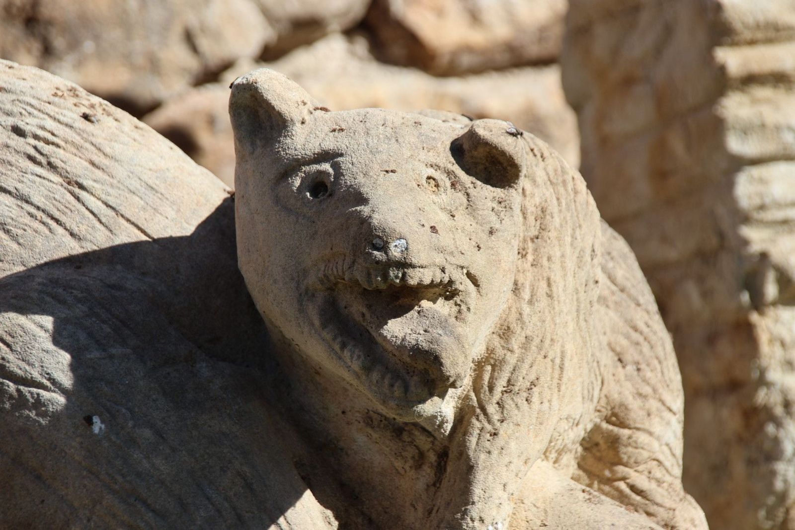 20230614092608-img-2661