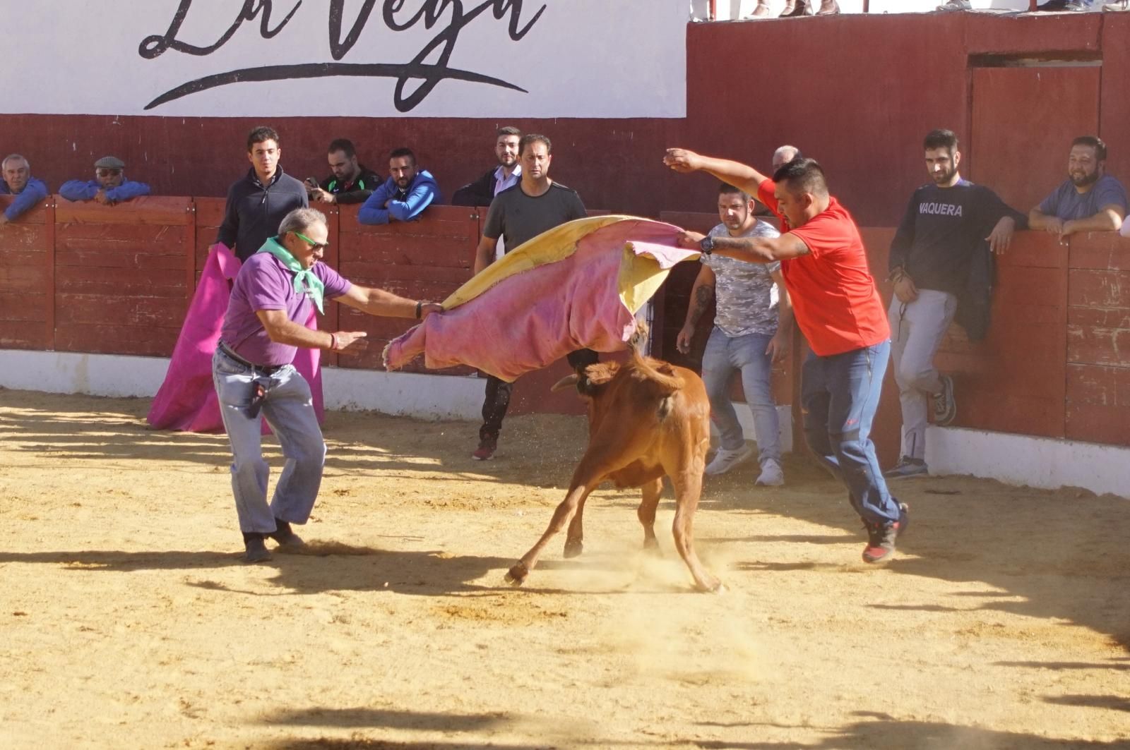 whatsapp-image-2024-09-08-at-14-05-32-3