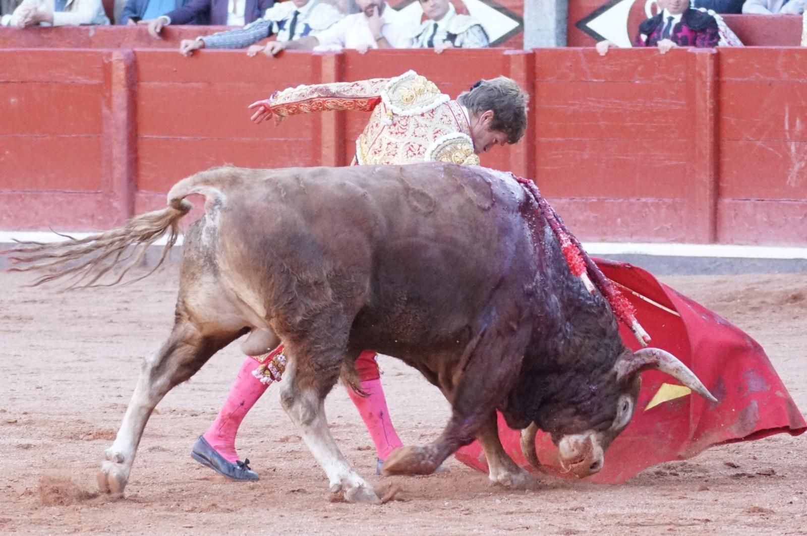 La corrida concurso para despedir la feria con Morante, Talavante y Borja Jiménez: imágenes de los mejores momentos en La Glorieta