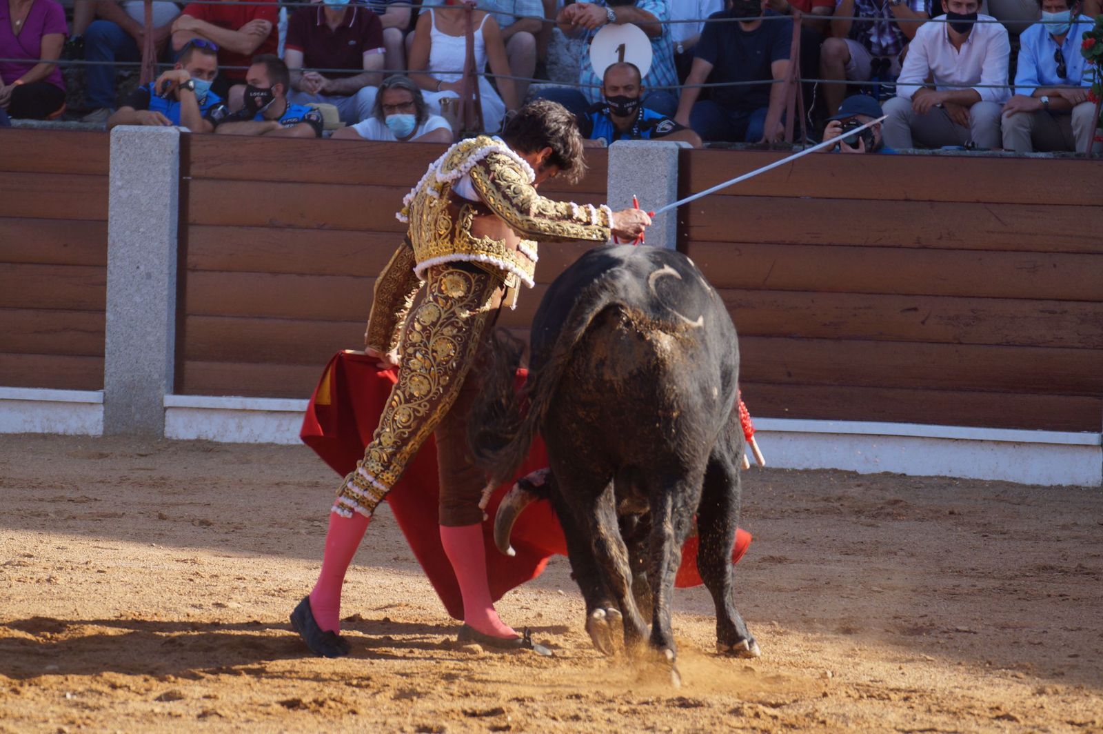 toros-en-guijuelo-15-de-agosto-33