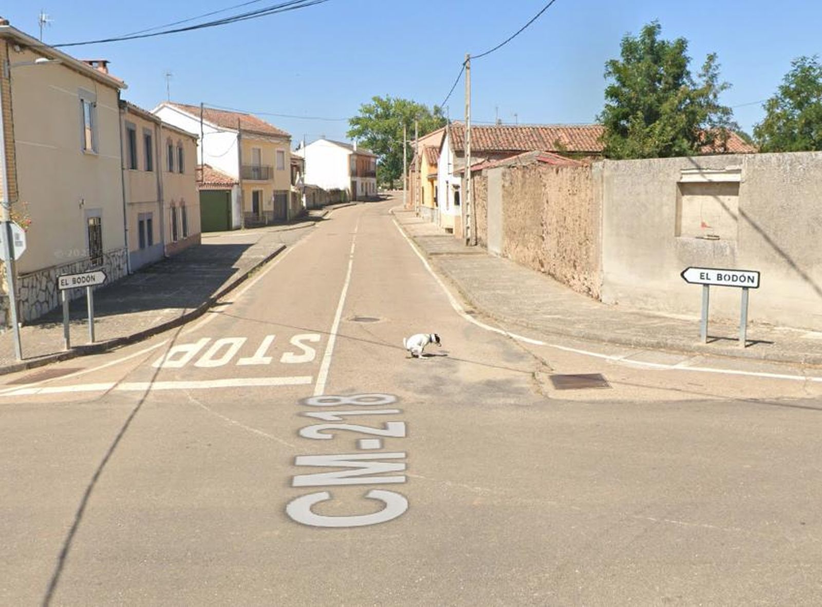 Perro en La Encina realizando sus necesidades