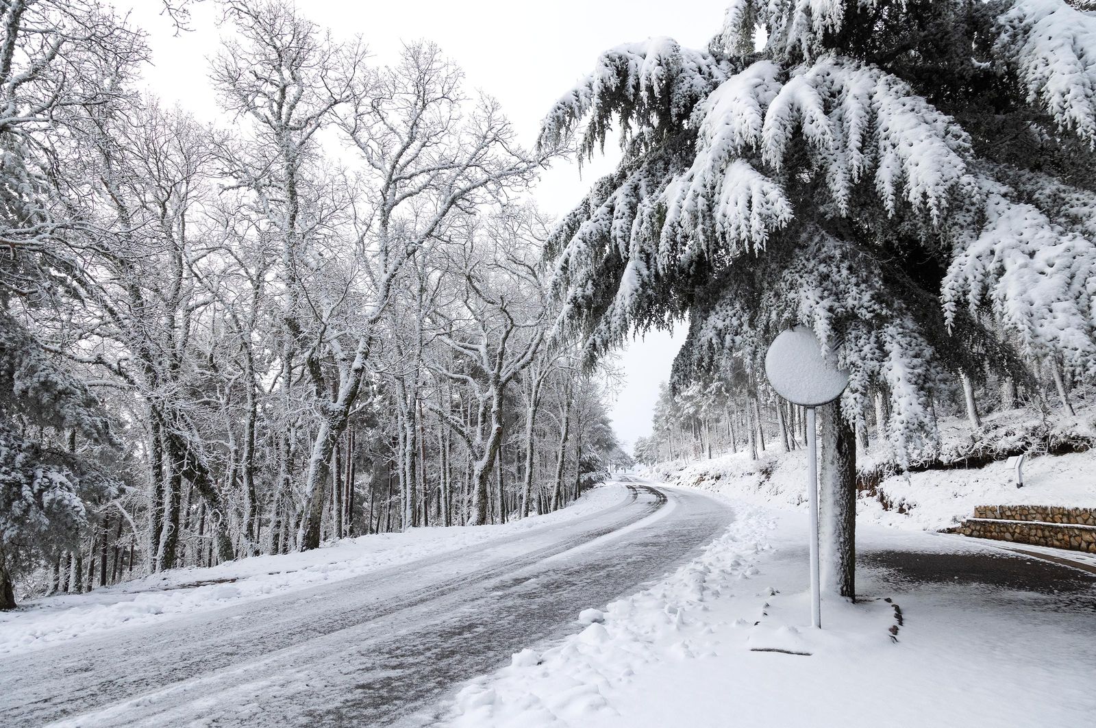 Nieve en la carretera a la Peña de Francia. Foto ICAL