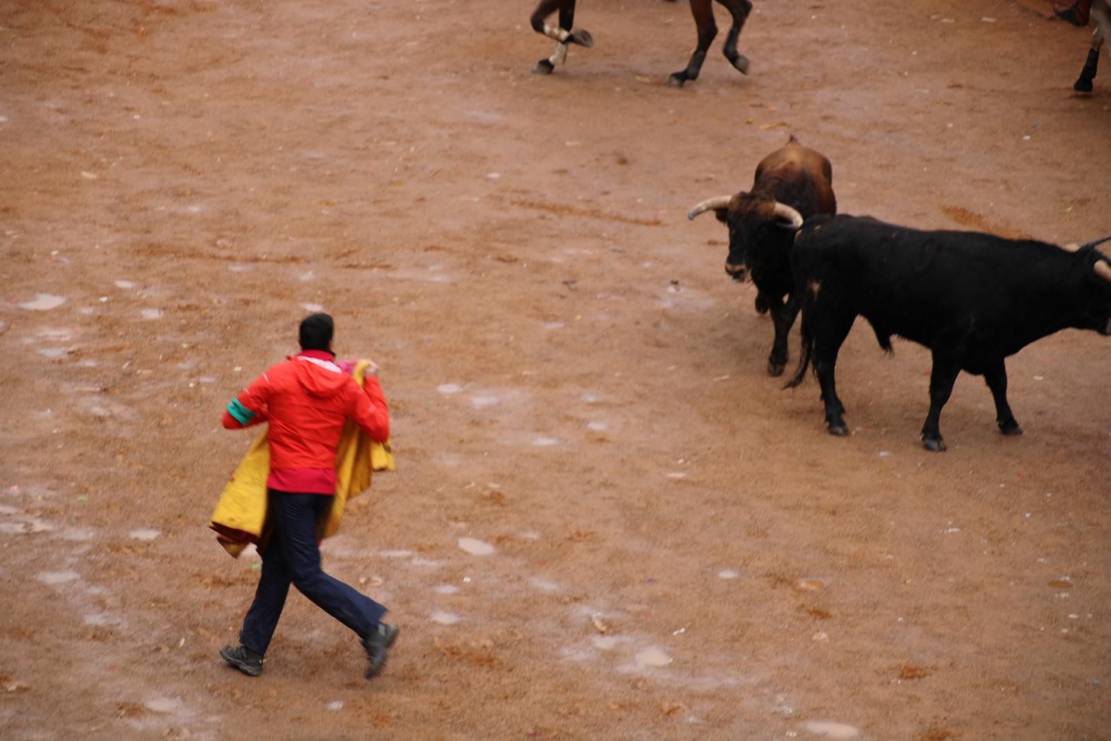 whatsapp-image-2024-02-11-at-11-41-49-8