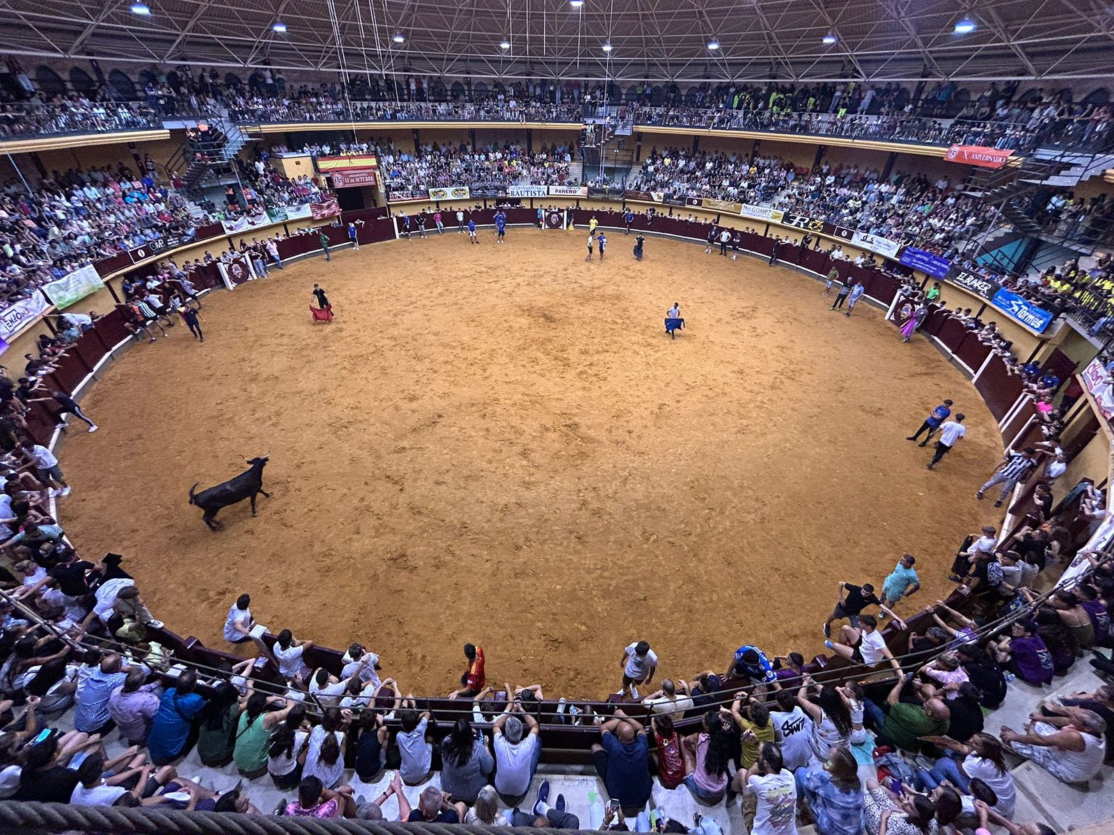 Multitudinario encierro nocturno en Alba de Tormes