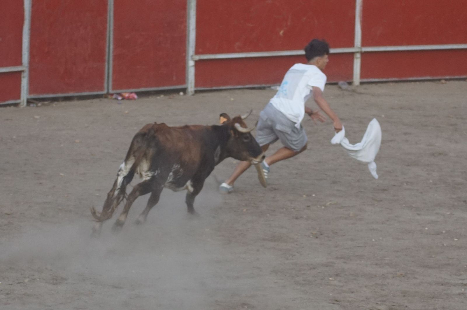 Carreras, risas y tradición: así se ha vivido El Toro en Santa Marta
