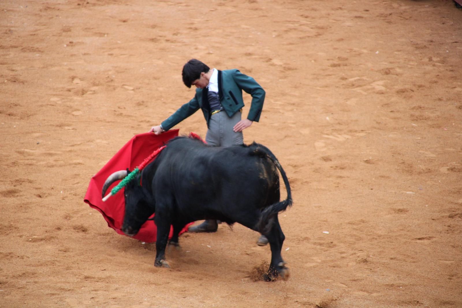 whatsapp-image-2025-03-02-at-18-55-04