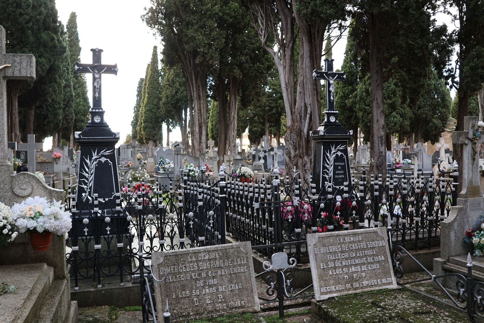 Los misterios del Cementerio municipal de San Atilano