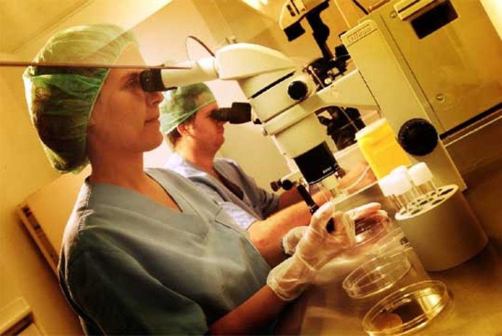 Búsqueda de perfiles laborales con al menos tres años de experiencia