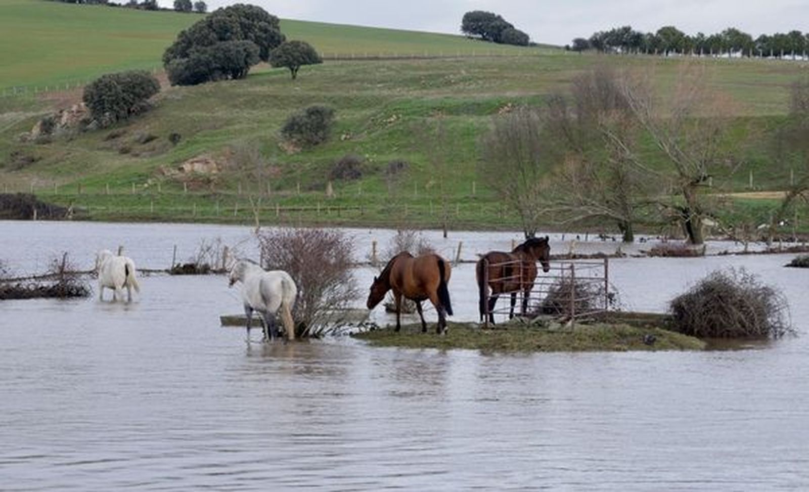 David Arranz. / ICAL. Las fuertes lluvias caídas en la provincia de Salamanca, en Golpejas, dejan inundaciones en pueblos y campos de cultivo