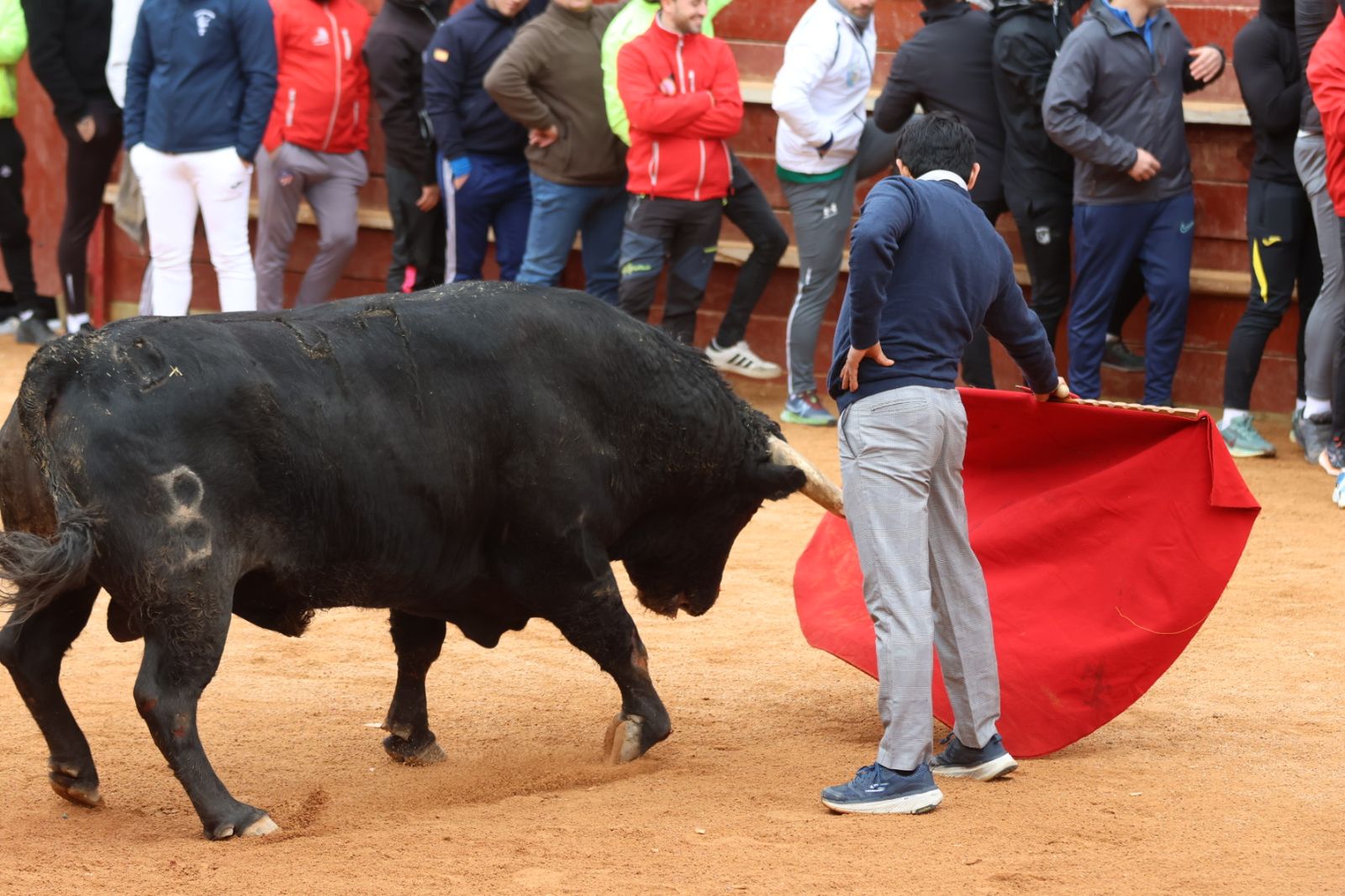 Mañana de capea de lunes en el Carnaval del Toro 2026
