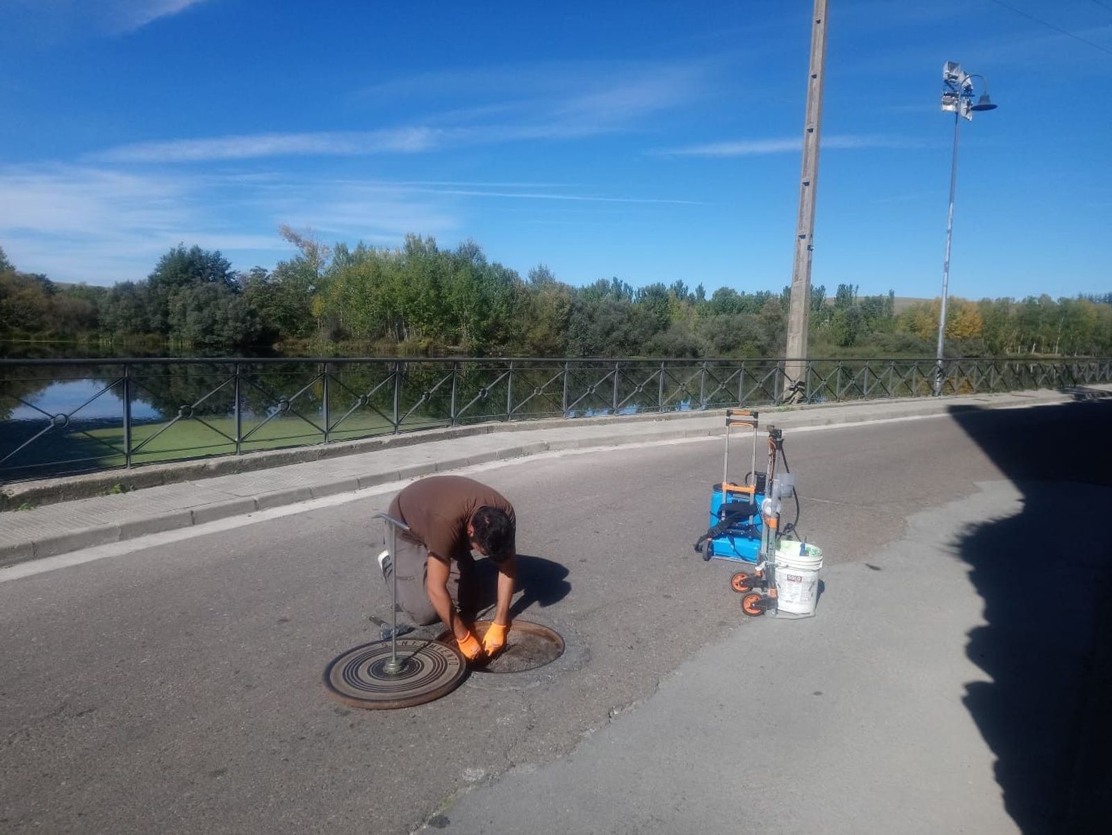 Control de plagas (1)