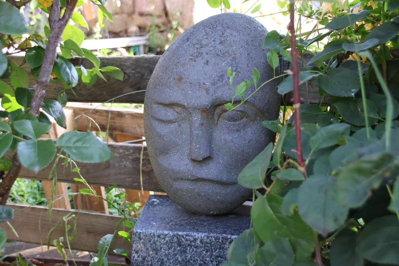 20230614095346-img-2721