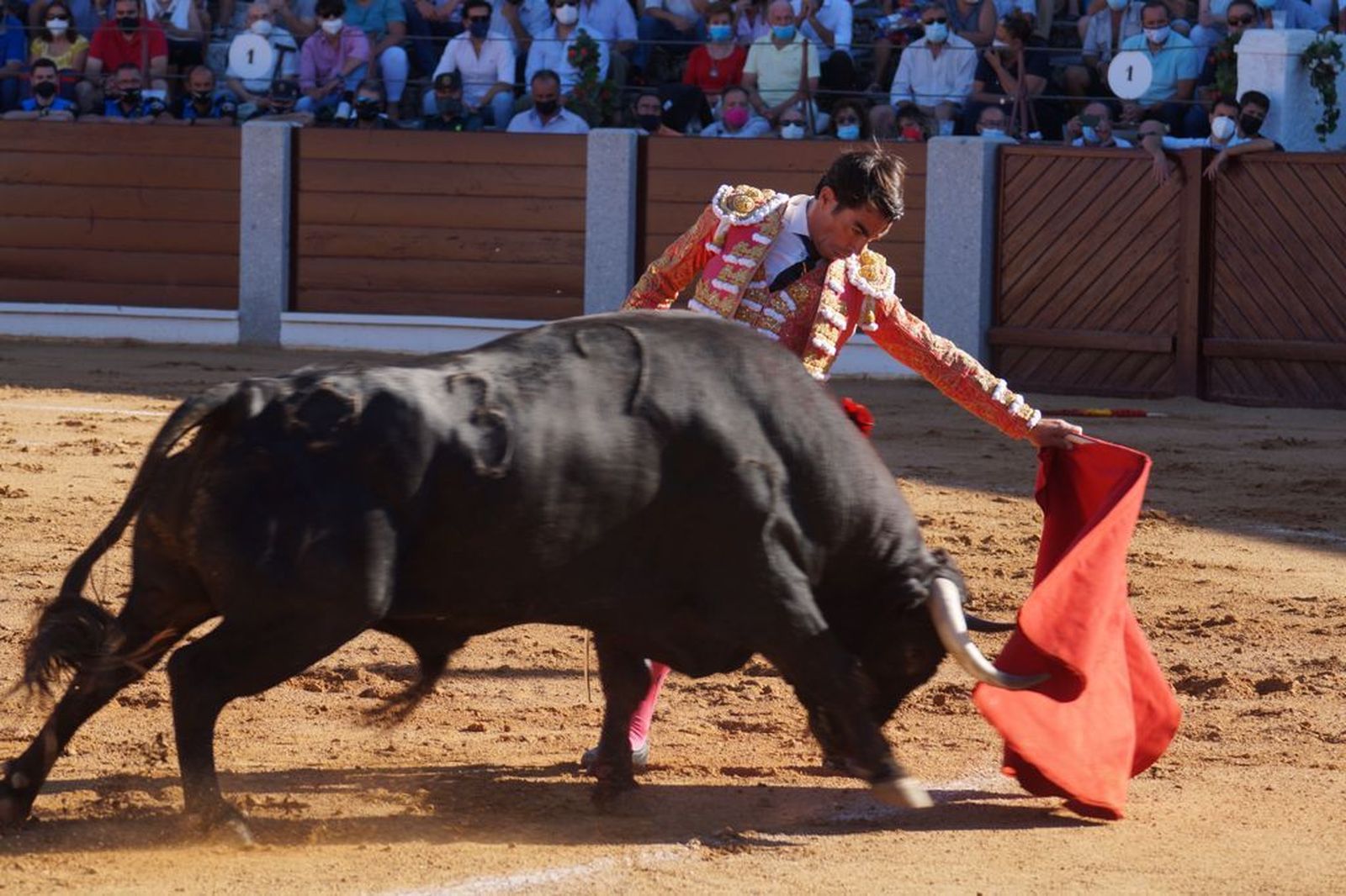 guijuelo-toros-el-puerto-de-san-lorenzo-12