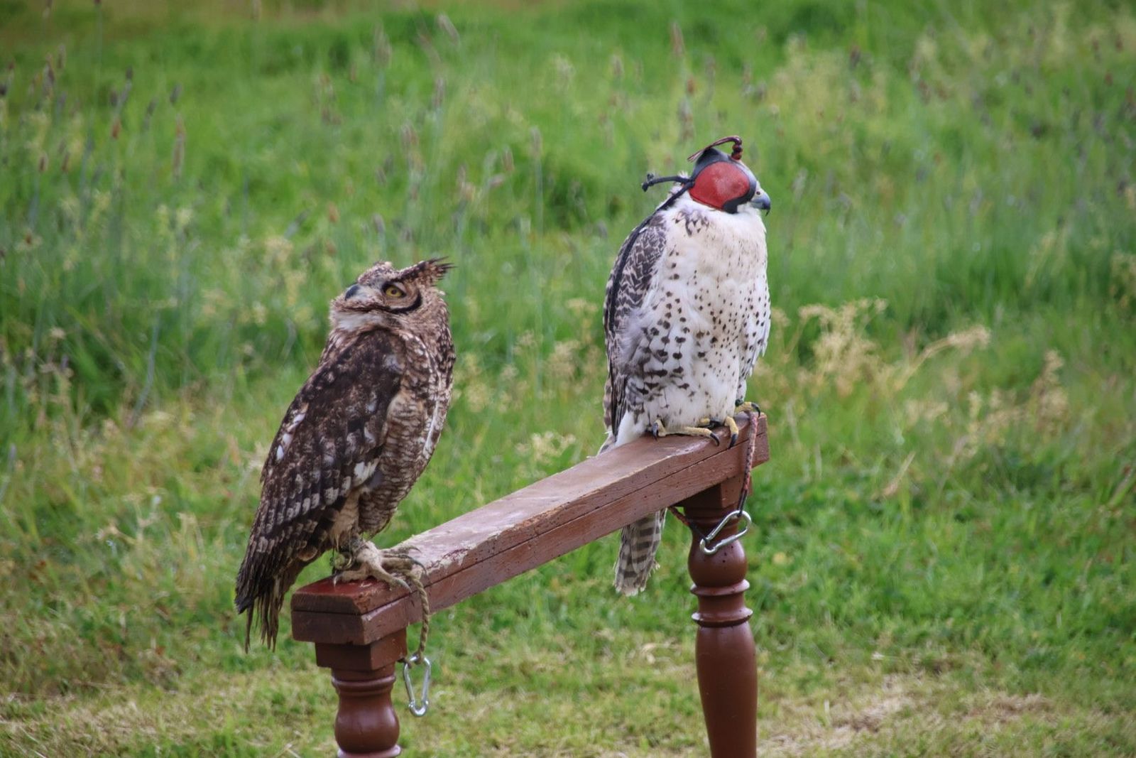 20240501102001-img-2857