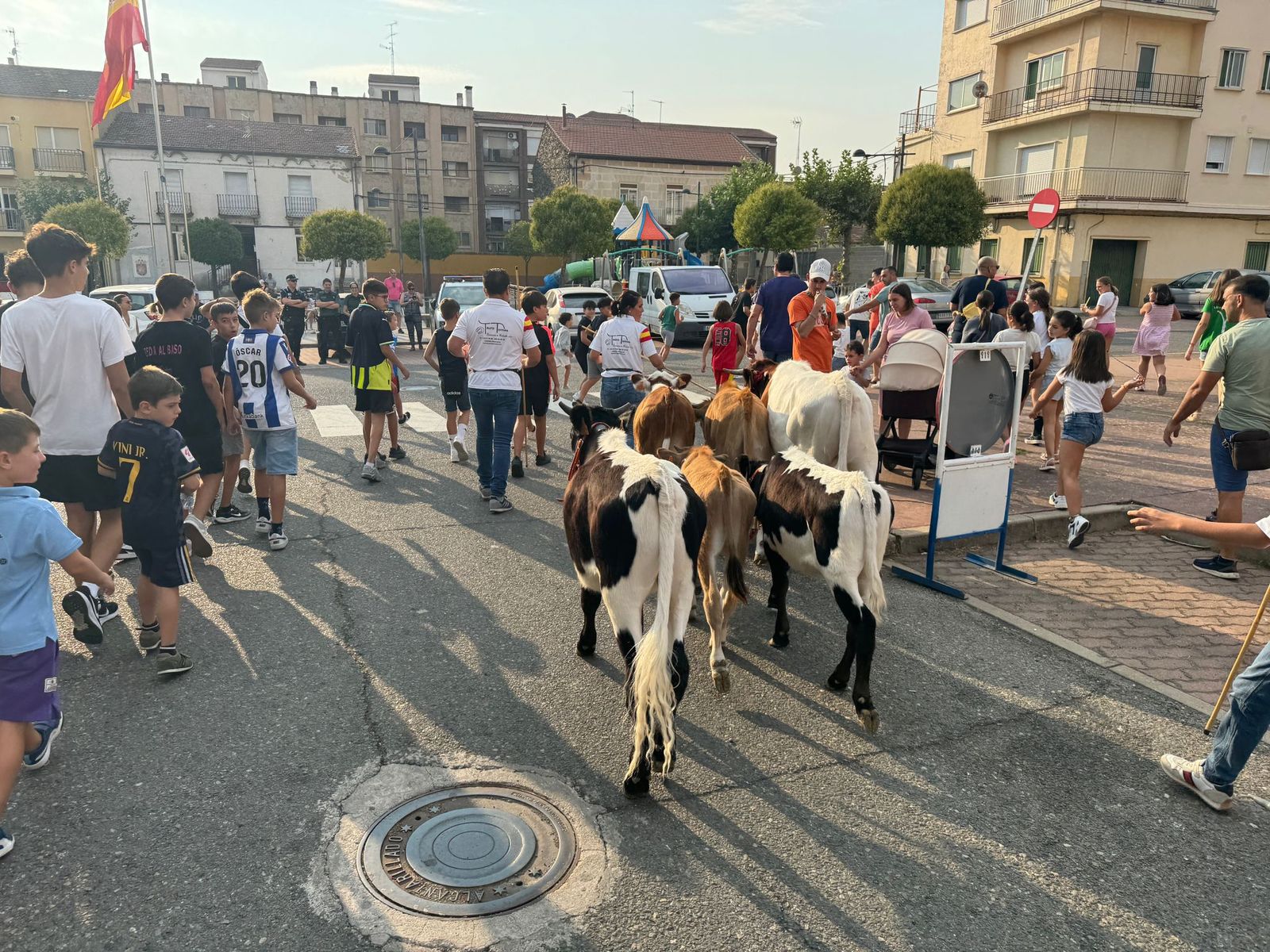 Encierro infantil de Mini Bueyes en Guijuelo durante sus fiestas 2025