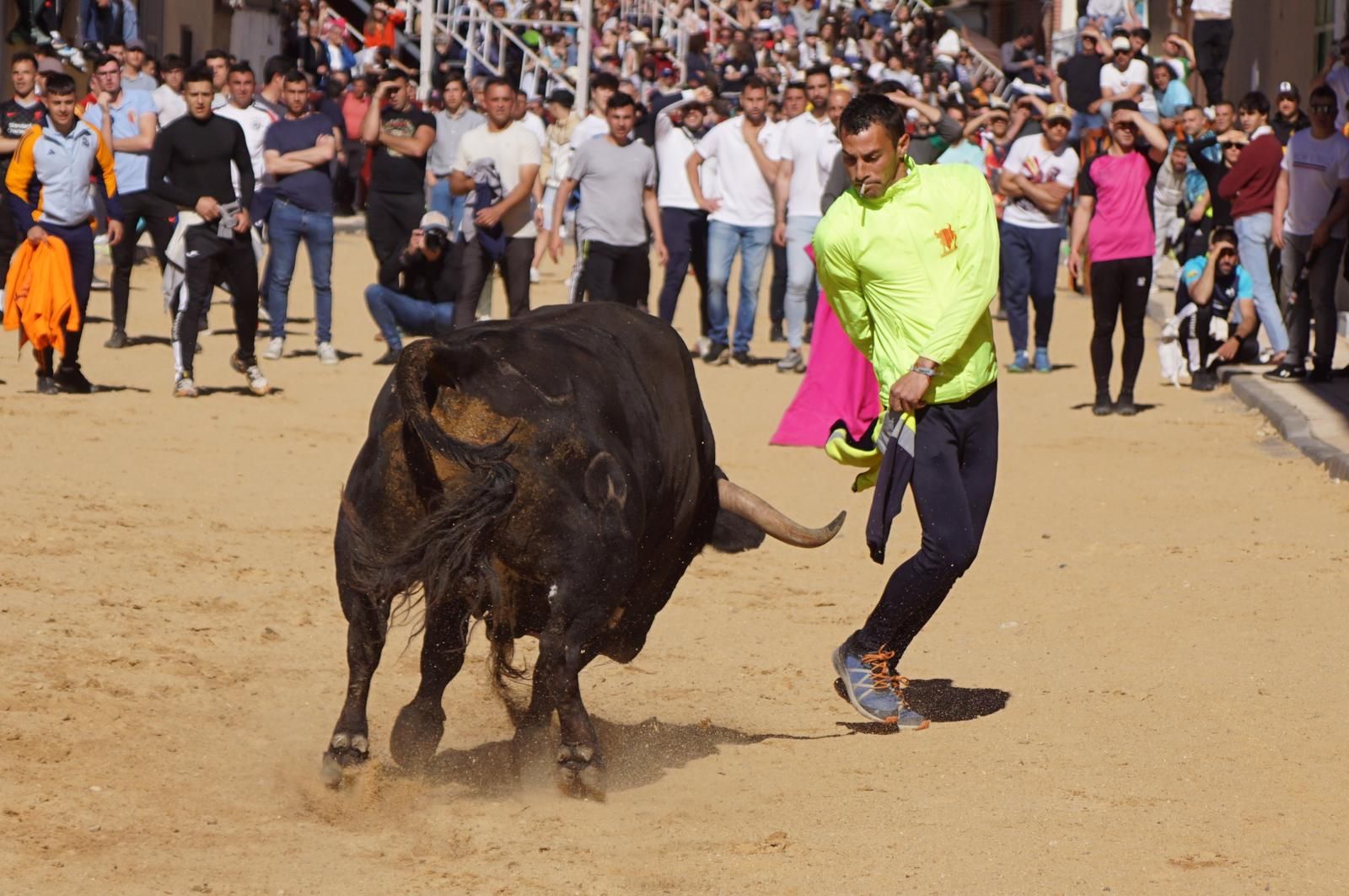 whatsapp-image-2025-04-26-at-19-02-07-1