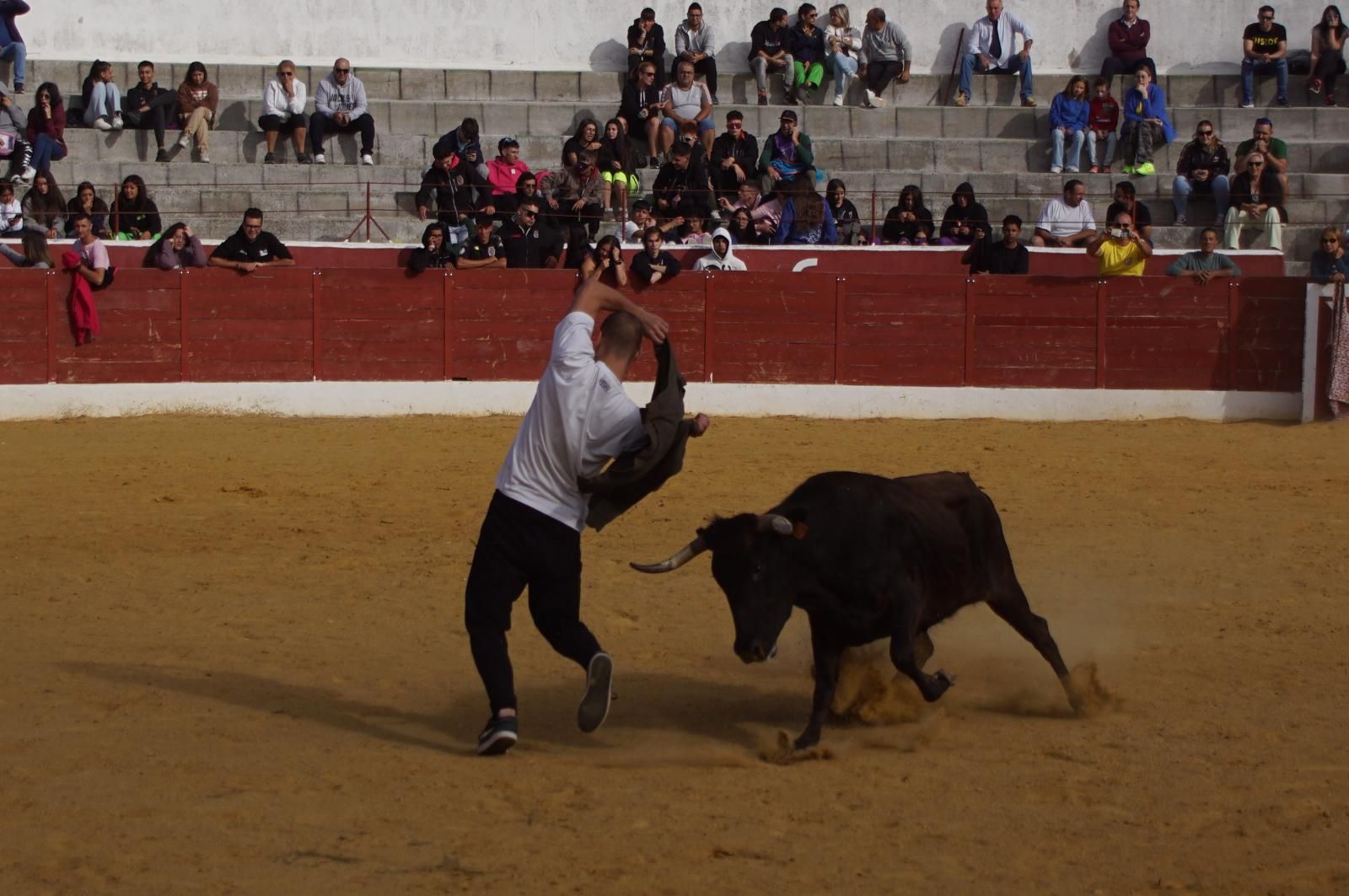 whatsapp-image-2024-09-08-at-14-05-21-1